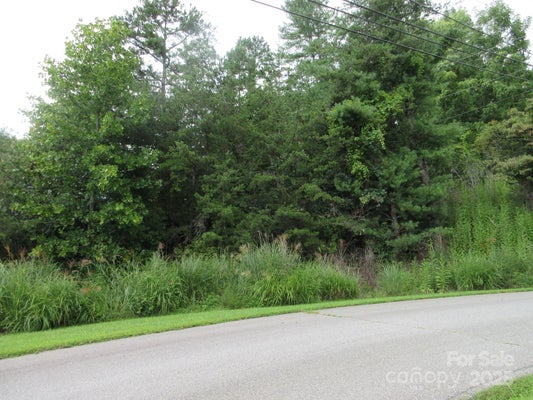 OLD BURNSVILLE RD, WEAVERVILLE, NC 28787 - Image 047b87558a1b67b83a18db4eaf4dce8f/3390180804