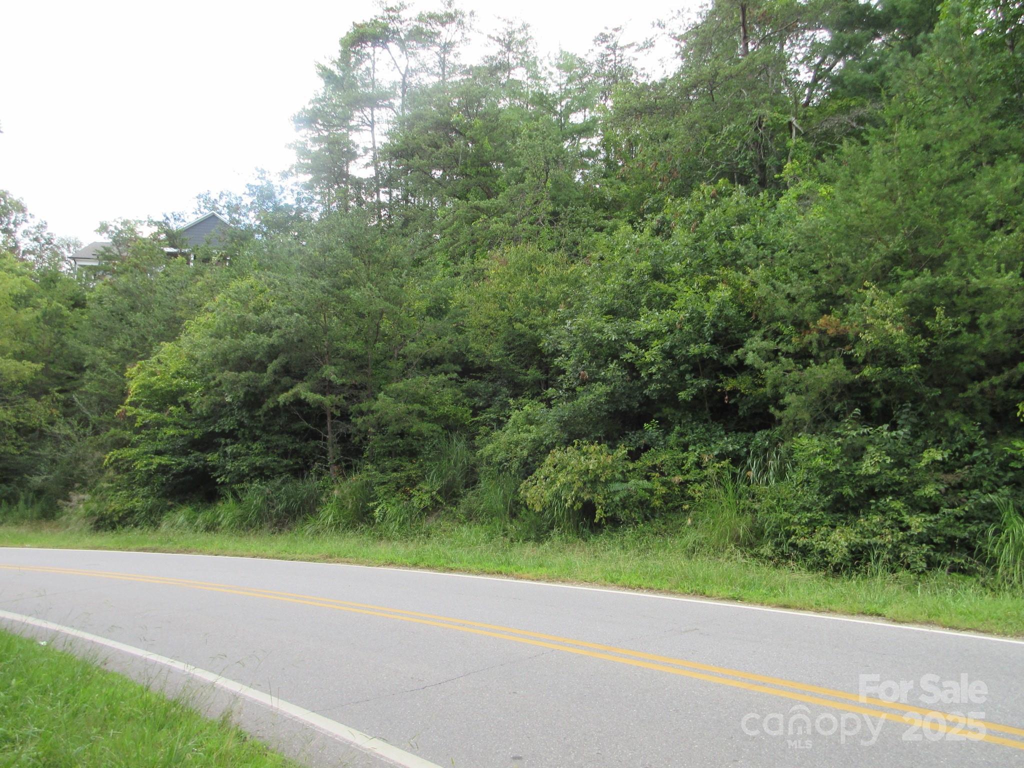 0 Old Burnsville Road