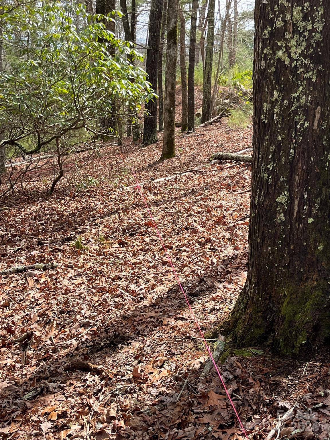 9 French Broad Overlook Lot 3