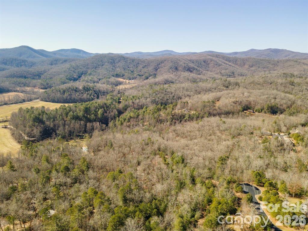 Homestead at Mills River - Residential
