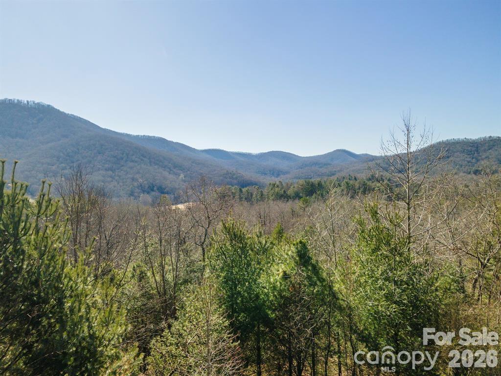 Homestead at Mills River - Residential