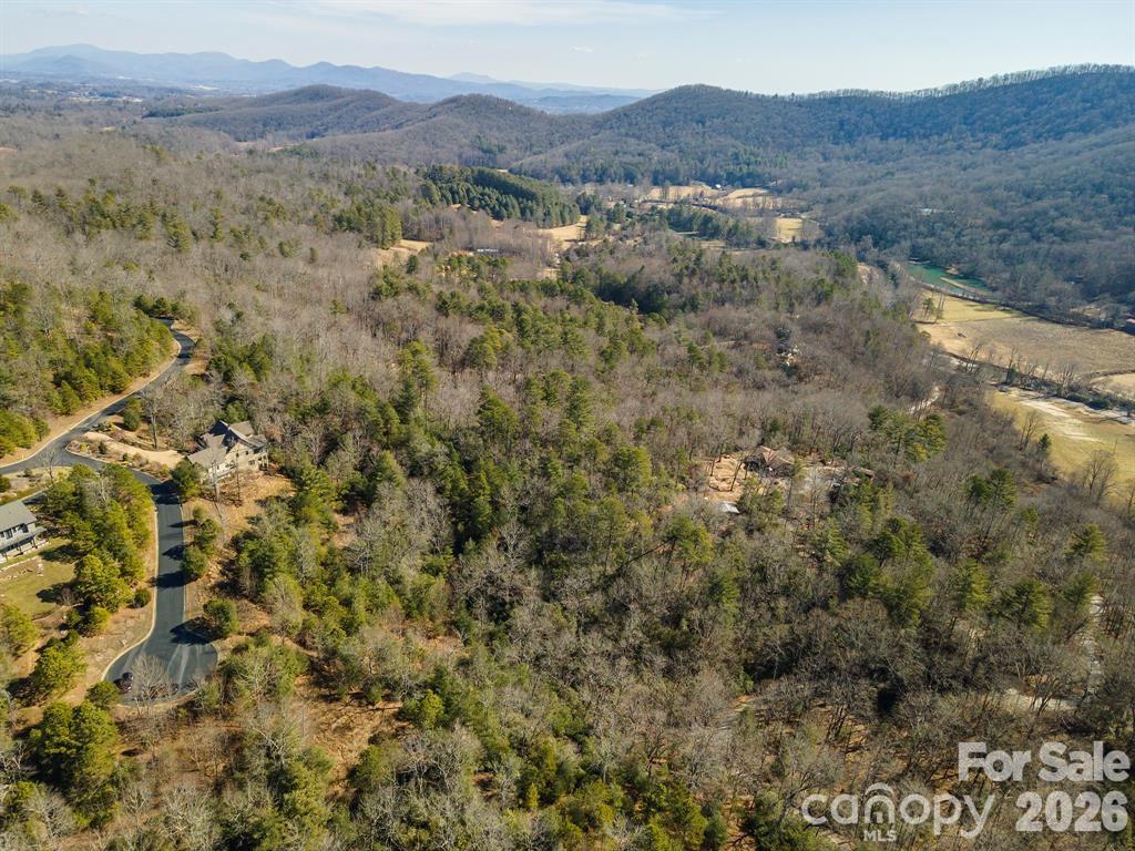 Homestead at Mills River - Residential