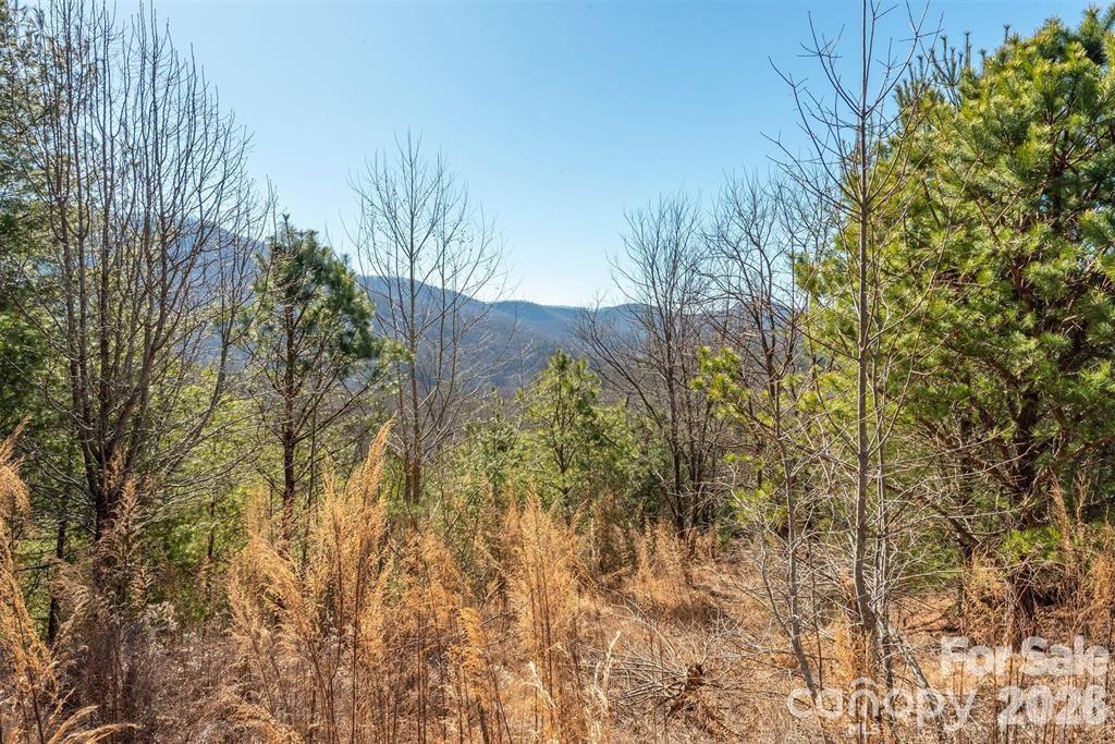 Homestead at Mills River - Residential