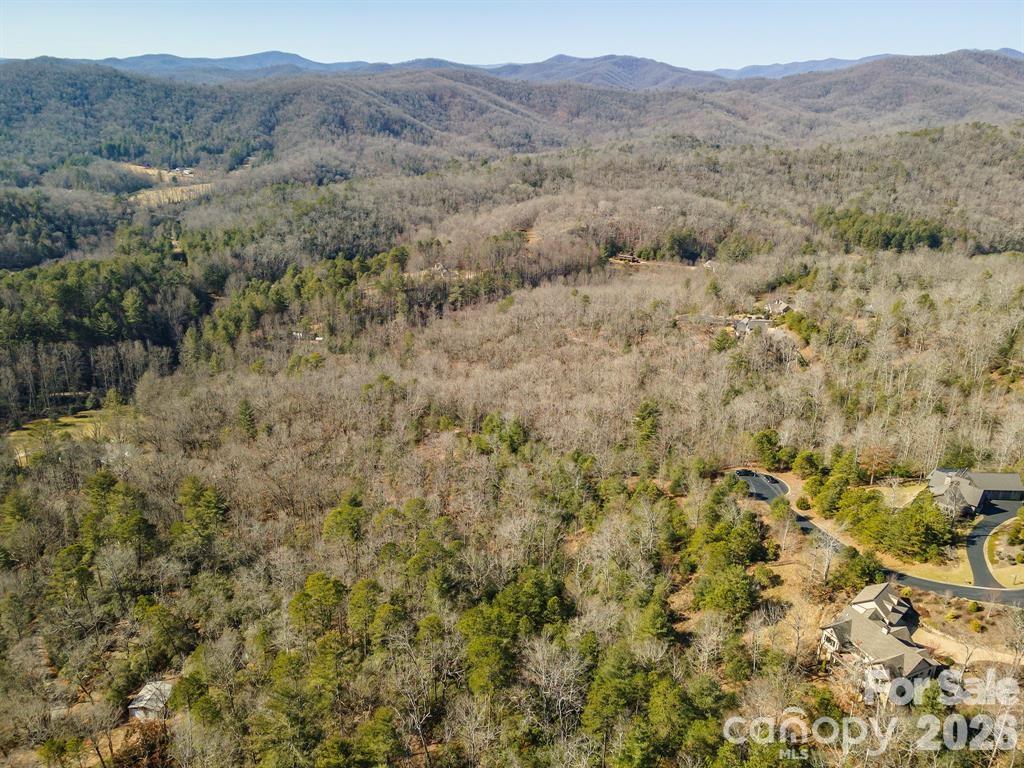 Homestead at Mills River - Residential