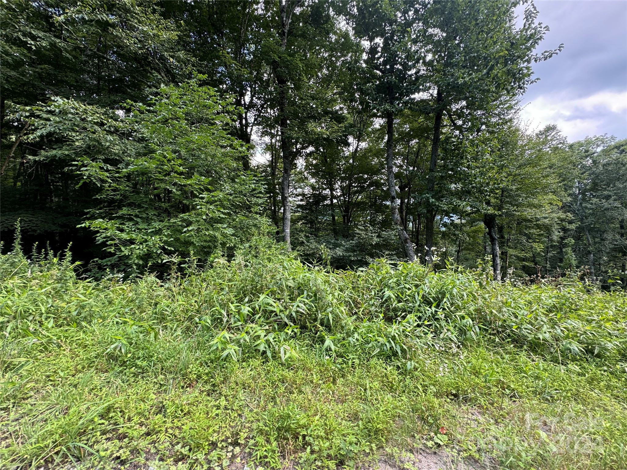 227 Birch Springs Lane