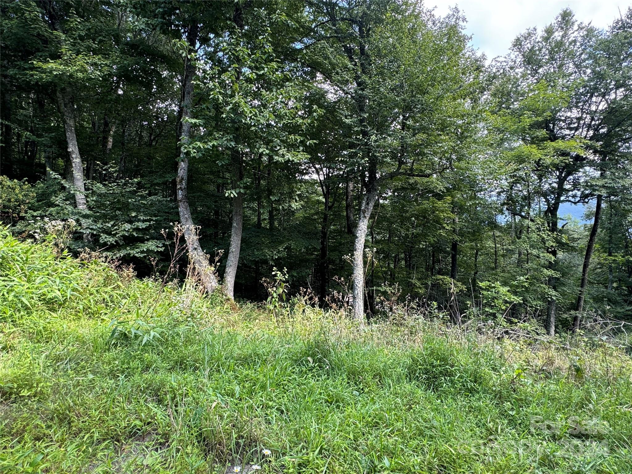 227 Birch Springs Lane