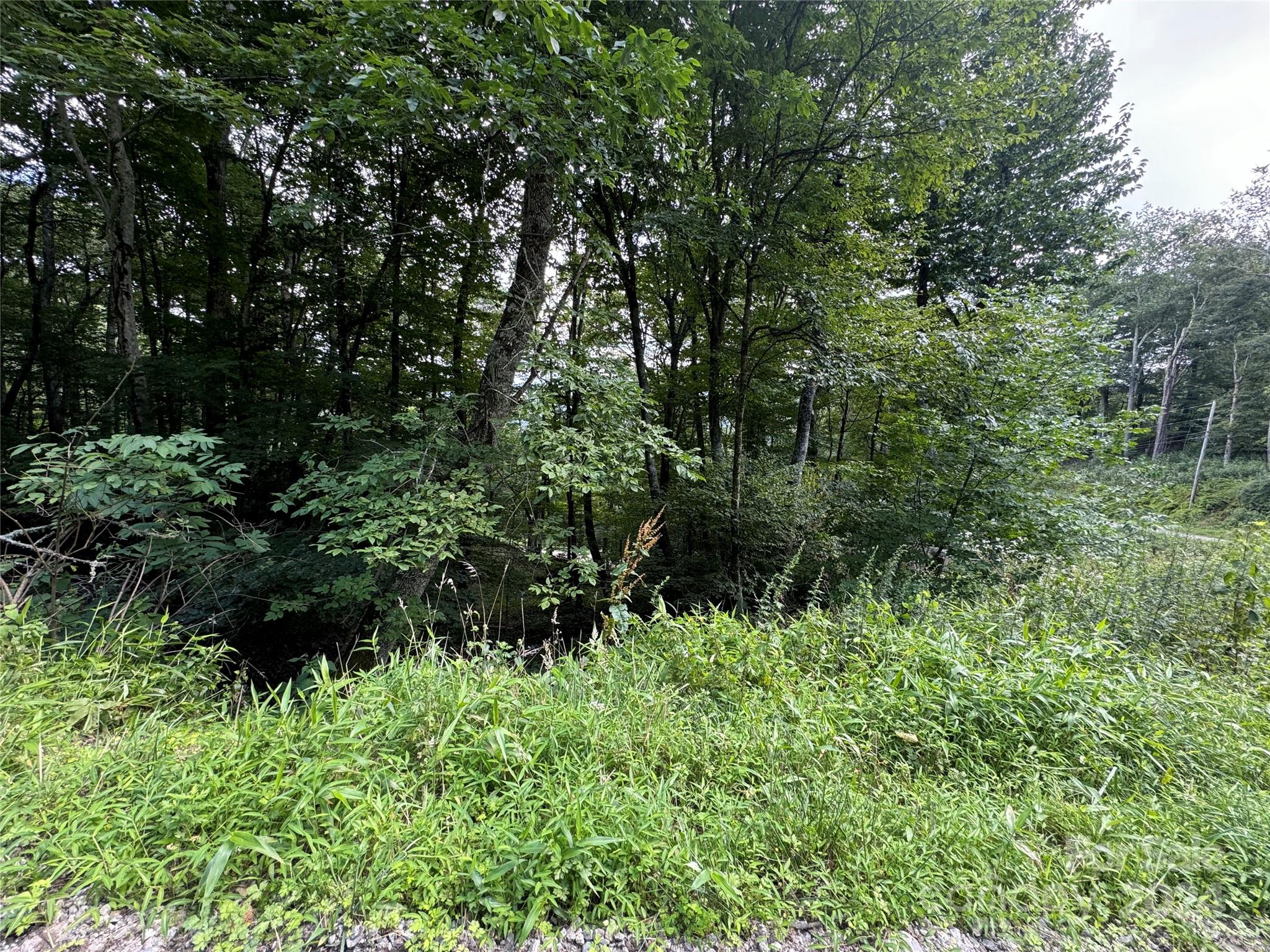 227 Birch Springs Lane