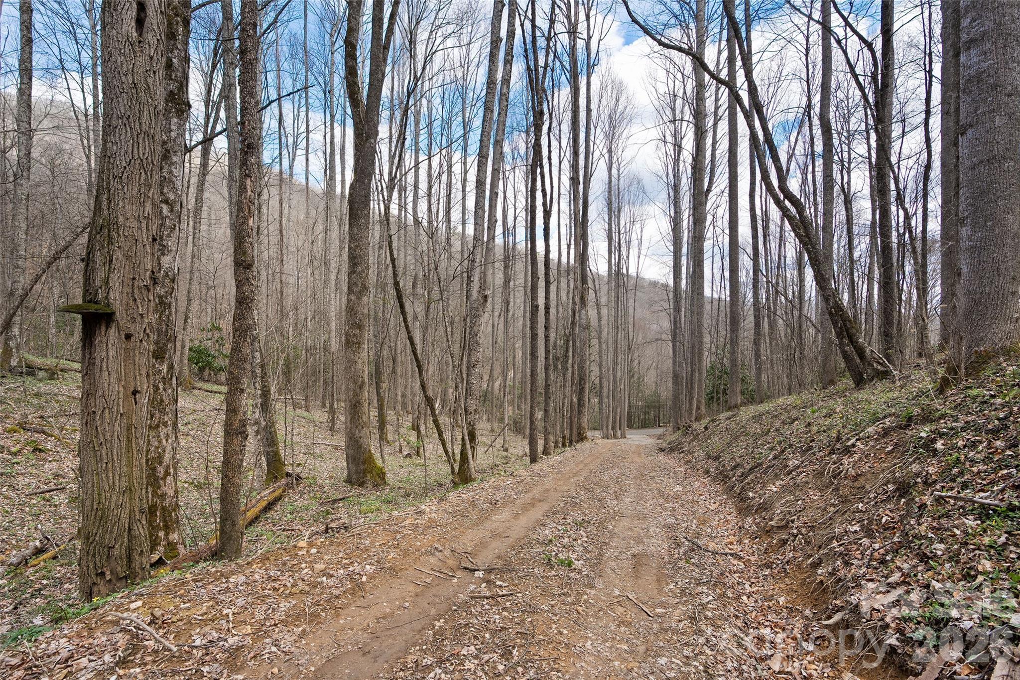 Big Laurel Inc - Land