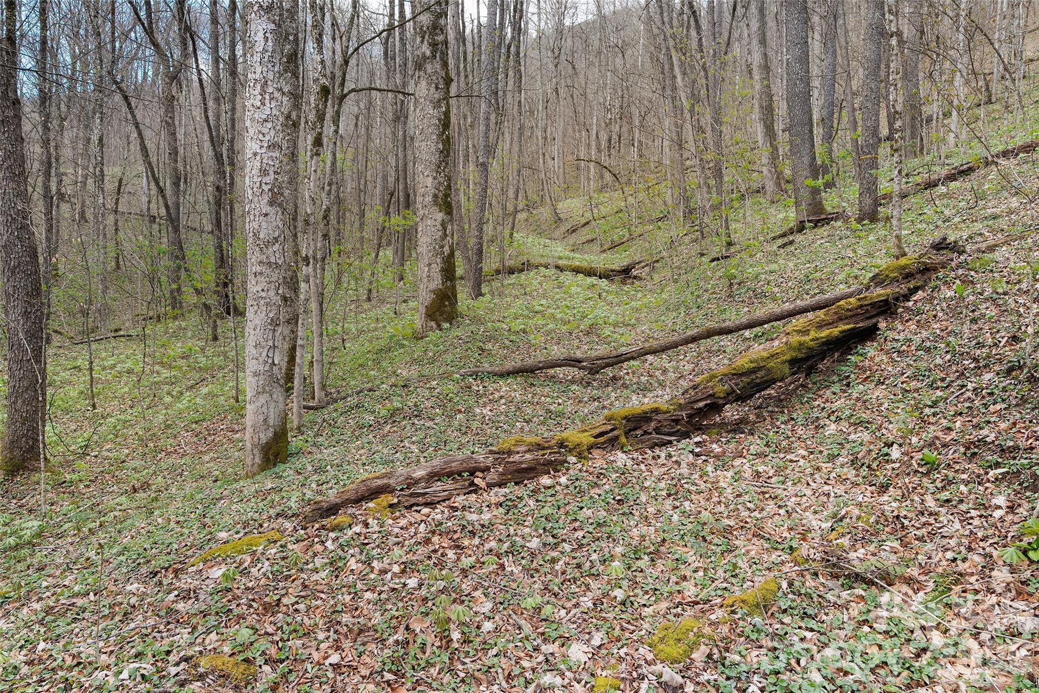 Big Laurel Inc - Land