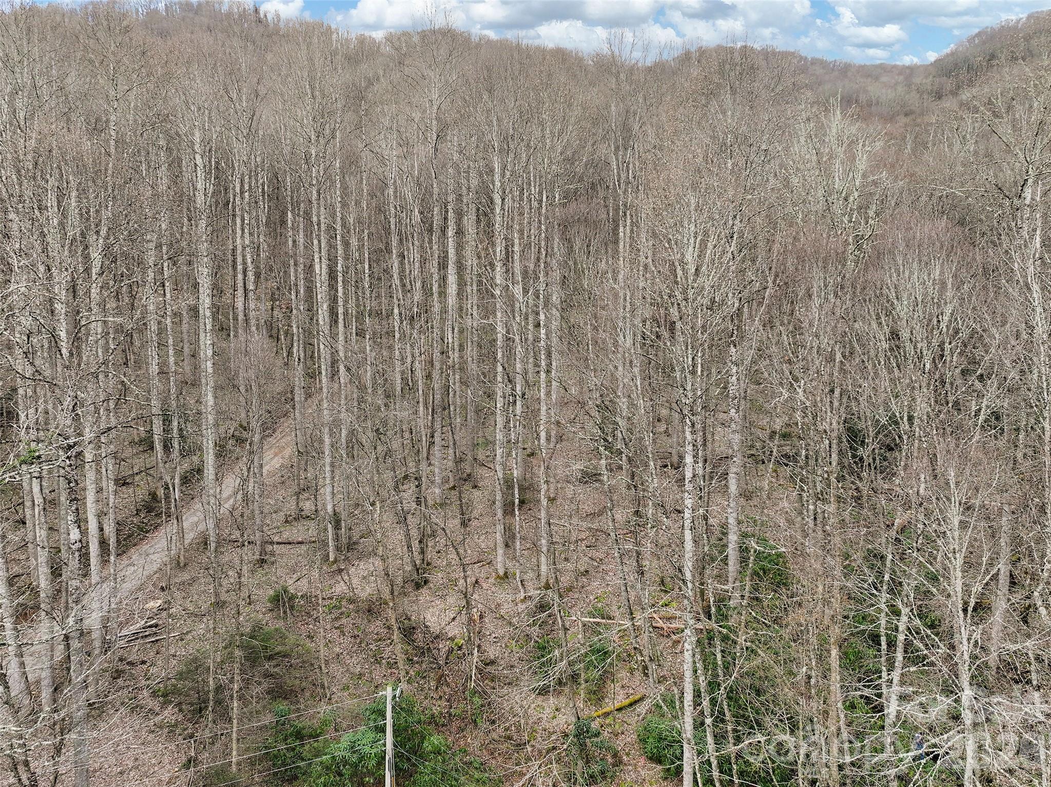 Big Laurel Inc - Land