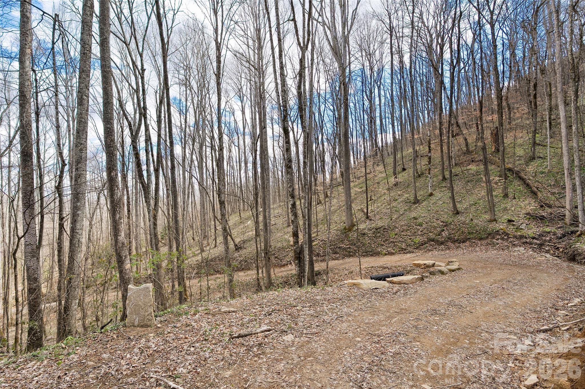 Big Laurel Inc - Land