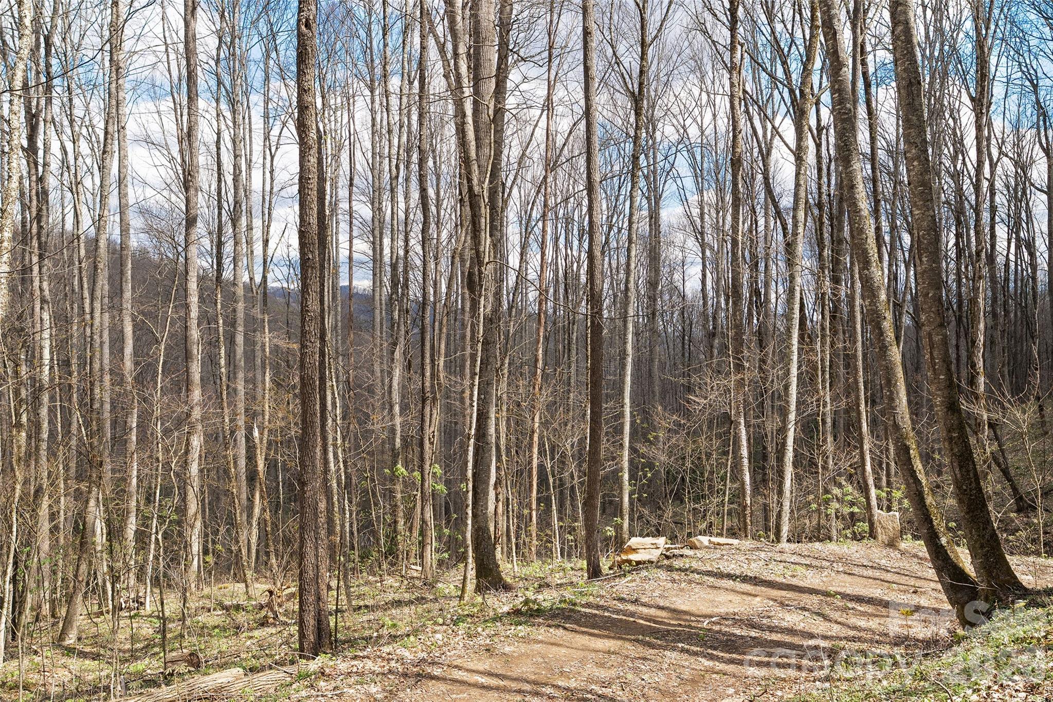 Big Laurel Inc - Land