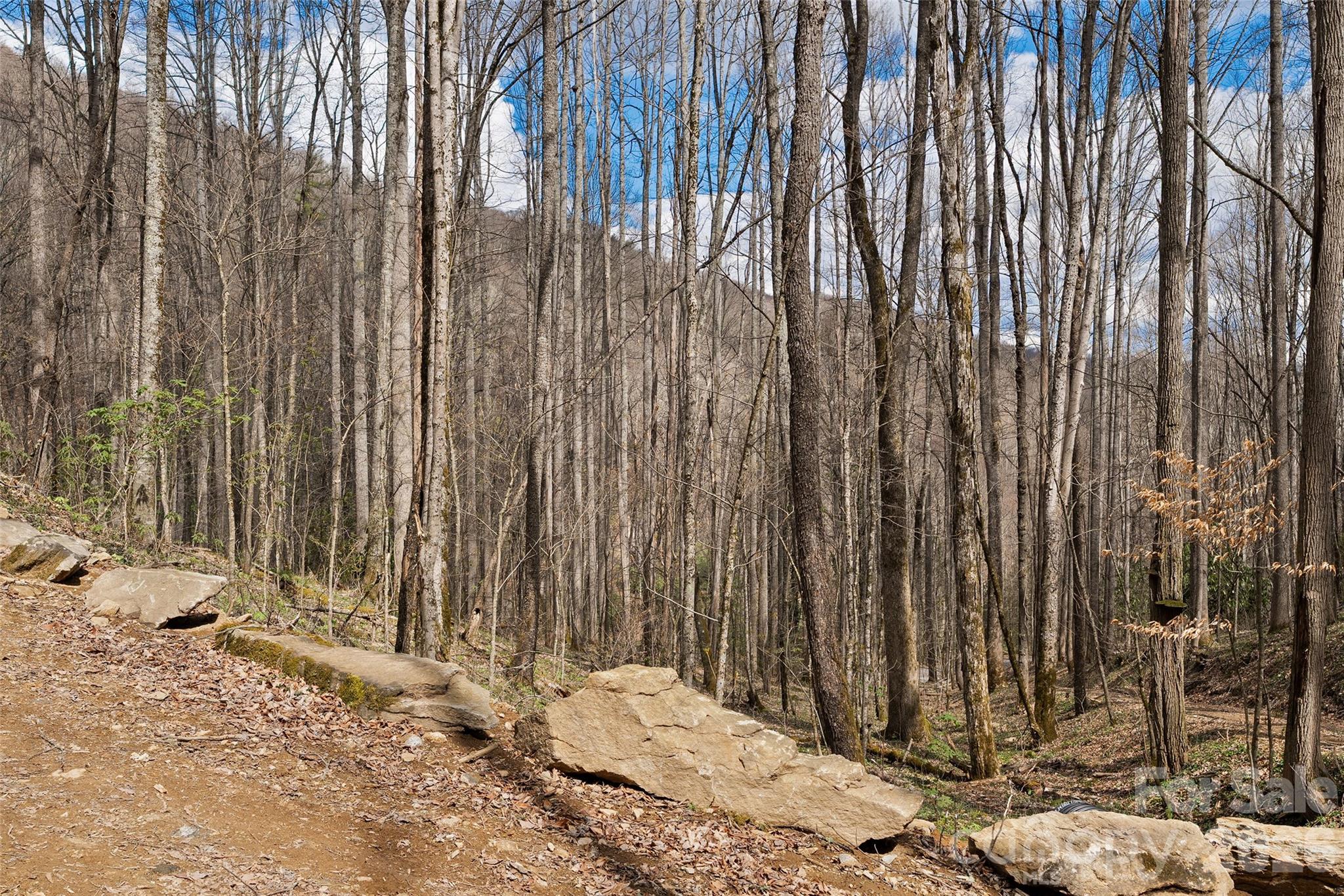 Big Laurel Inc - Land