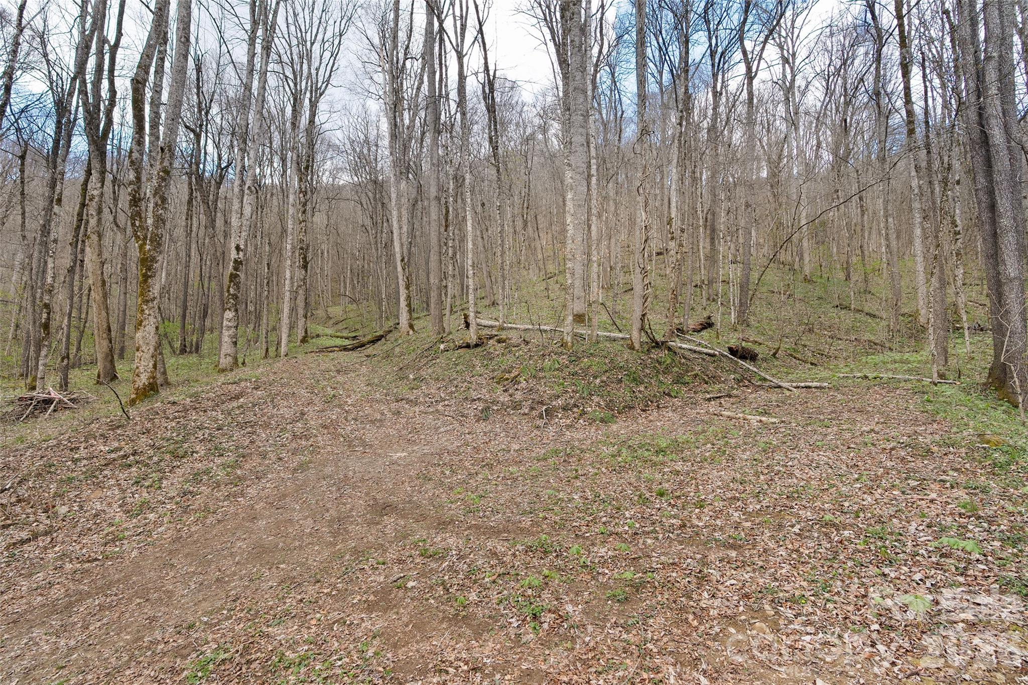 Big Laurel Inc - Land