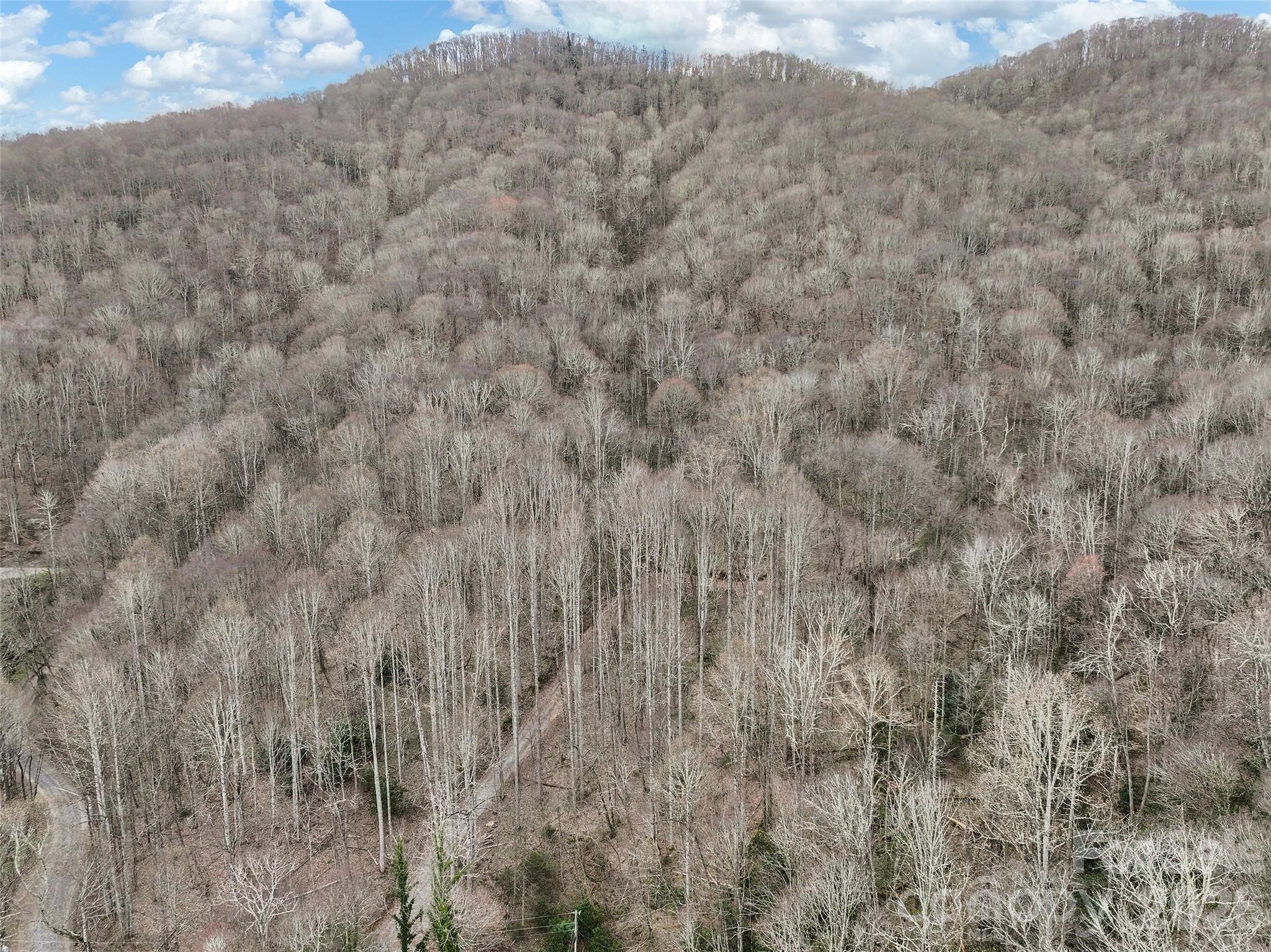 Big Laurel Inc - Land