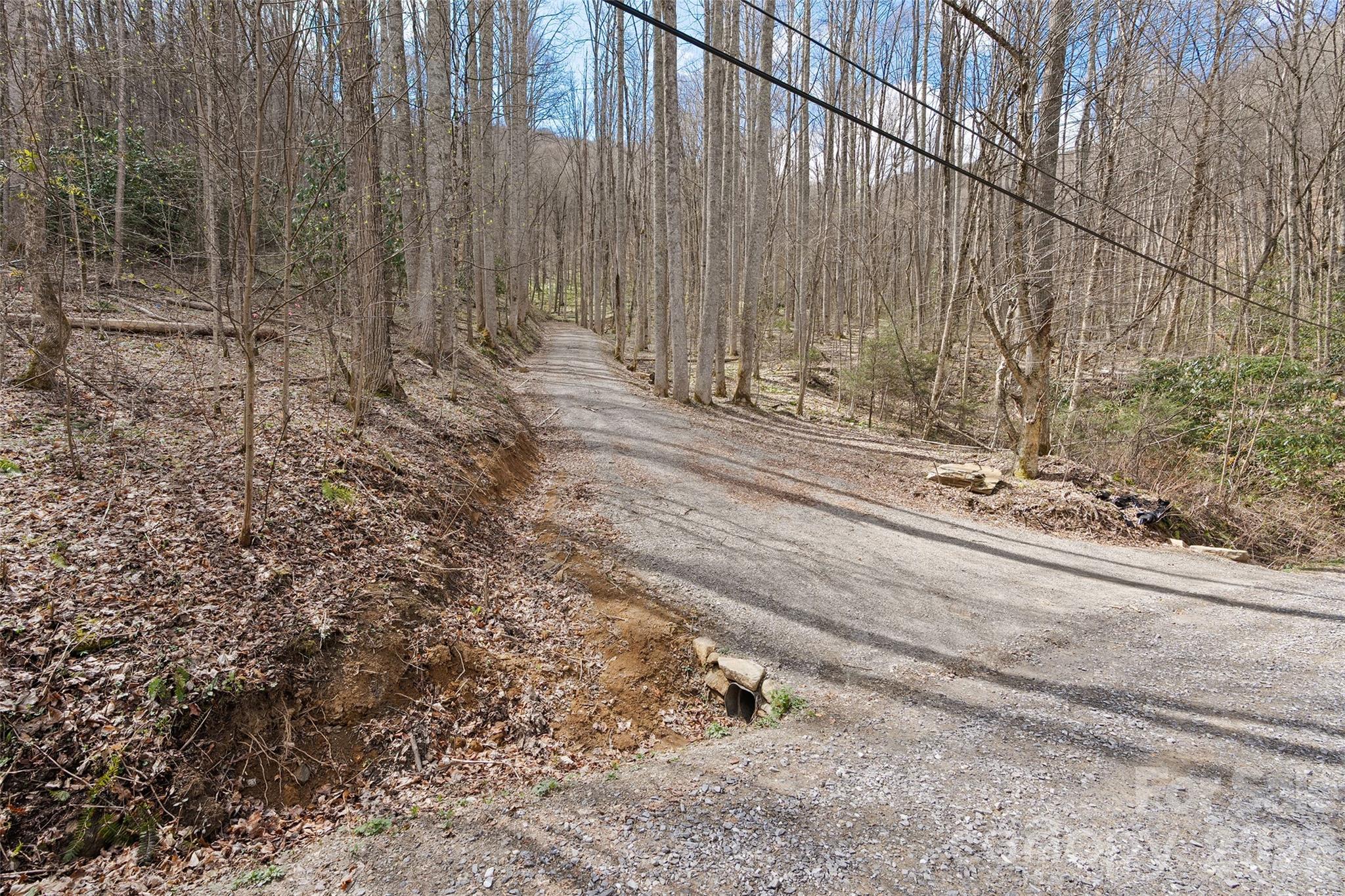 Big Laurel Inc - Land