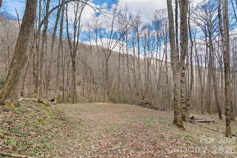23 Forbidden Cove Waynesville NC 28785