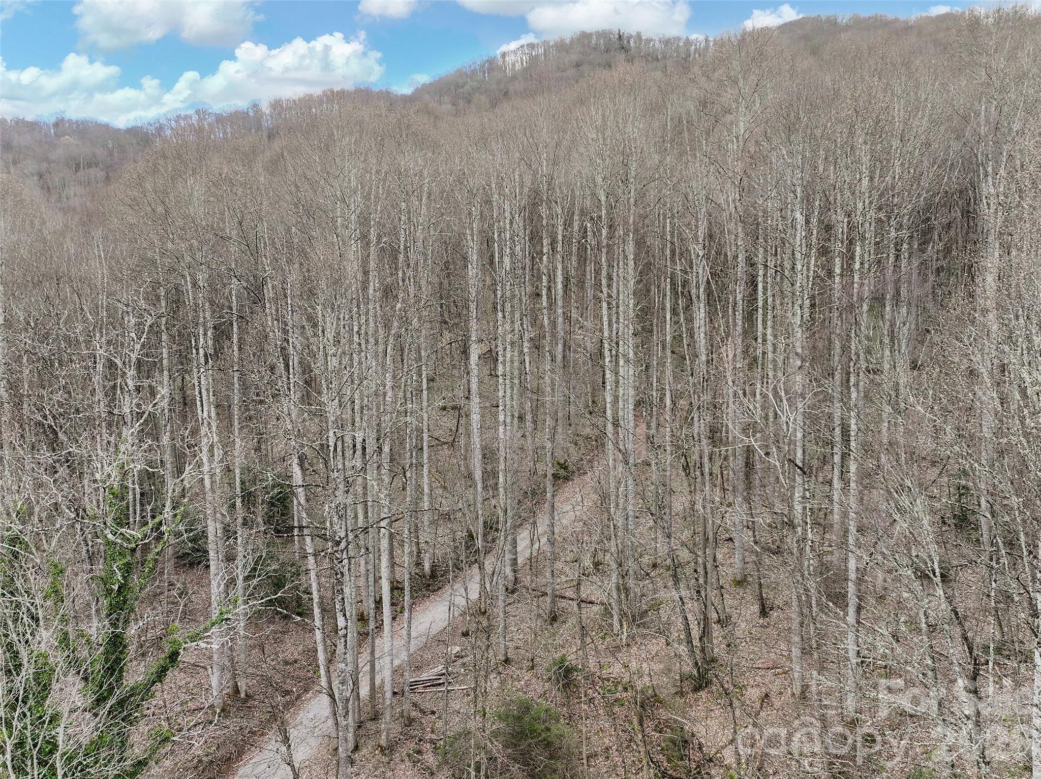 Big Laurel Inc - Land