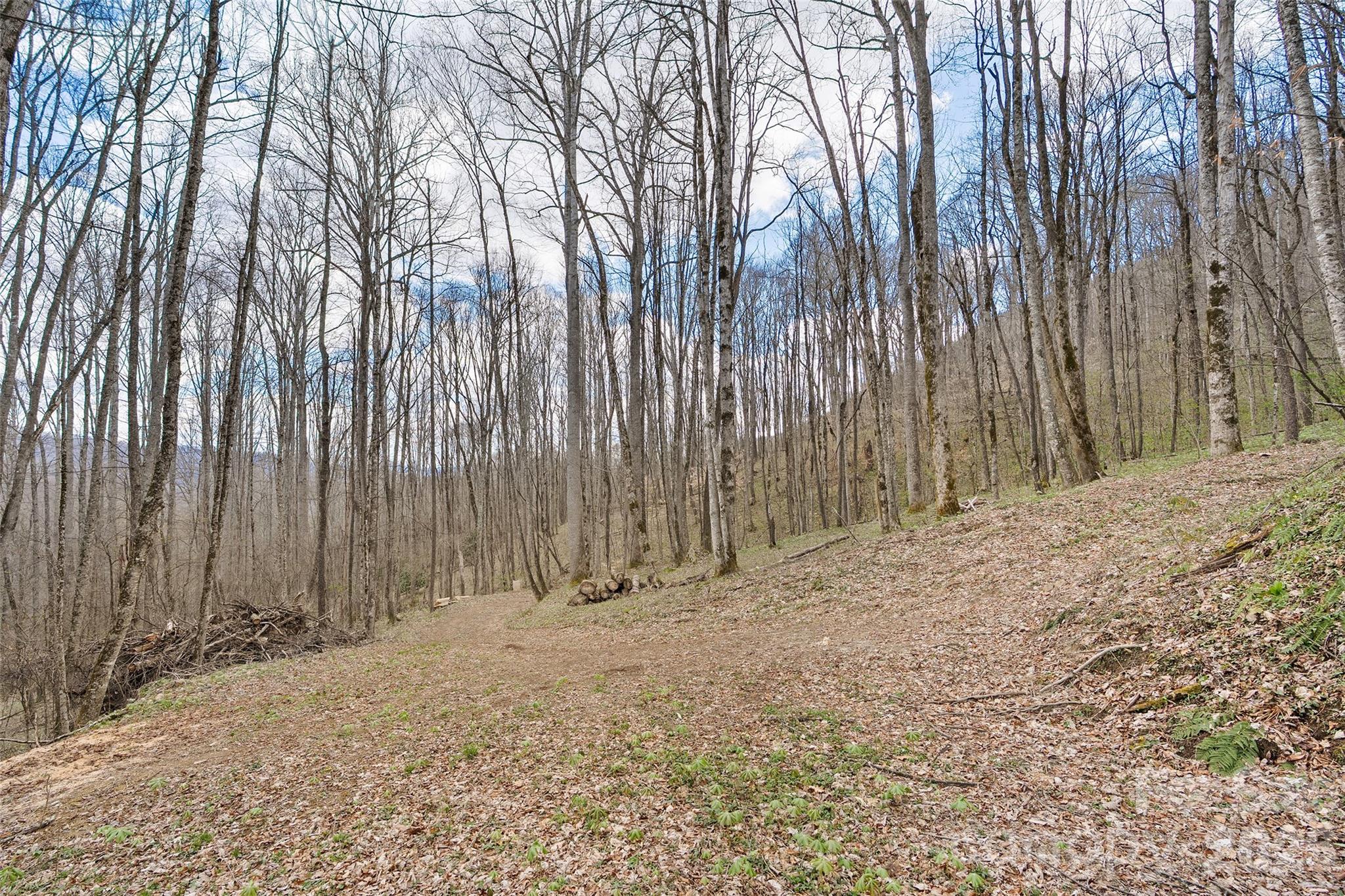 Big Laurel Inc - Land