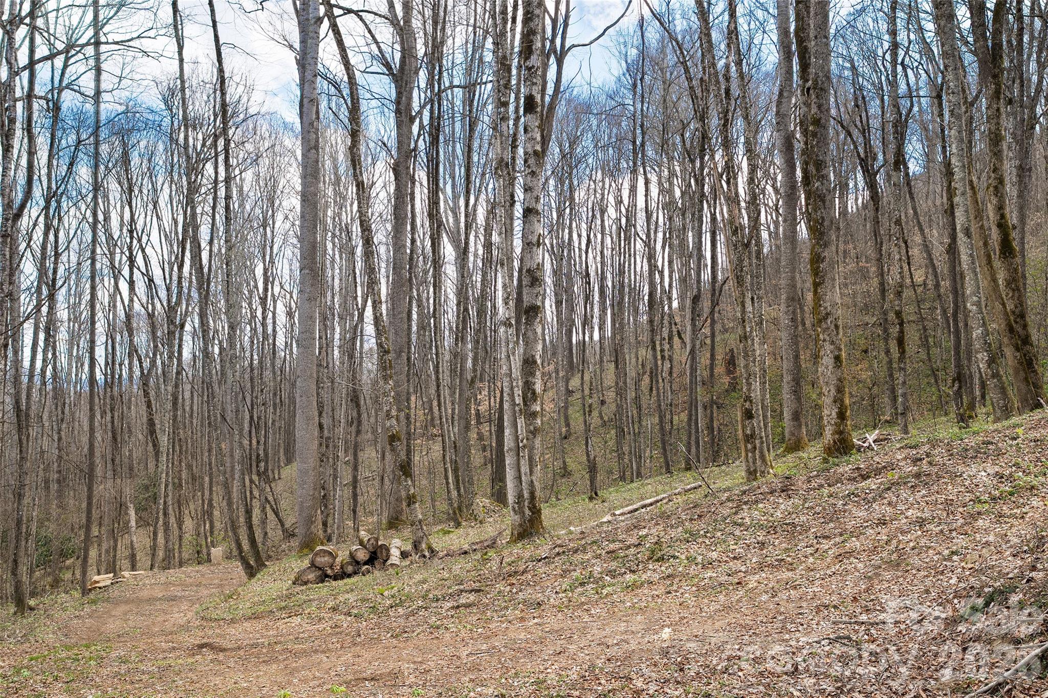 Big Laurel Inc - Land