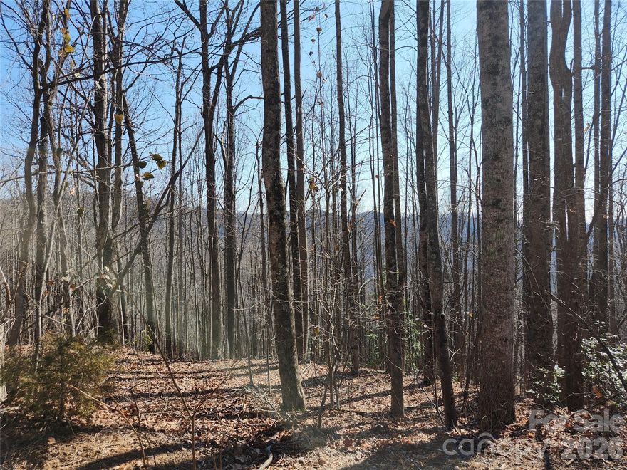Bring your offer!!!  Private 2 acre lot with a mountain view in the winter.  These wooded lots are located in the gated community of Gateway Mountain.  With a two acre homesite you will have plenty of room for your new mountain cabin and still enjoy privacy.  The two lots are located on a paved road with good access. The community is East of Black Mountain and 40 minutes to Asheville. Gateway Mountain community is almost a 3,000 acres and borders a conservancy.  The community has a private lake for swimming and fishing with a dock, a second park with a water fall and several hiking trails.  Enjoy the outdoors without the crowds in an exclusive community.