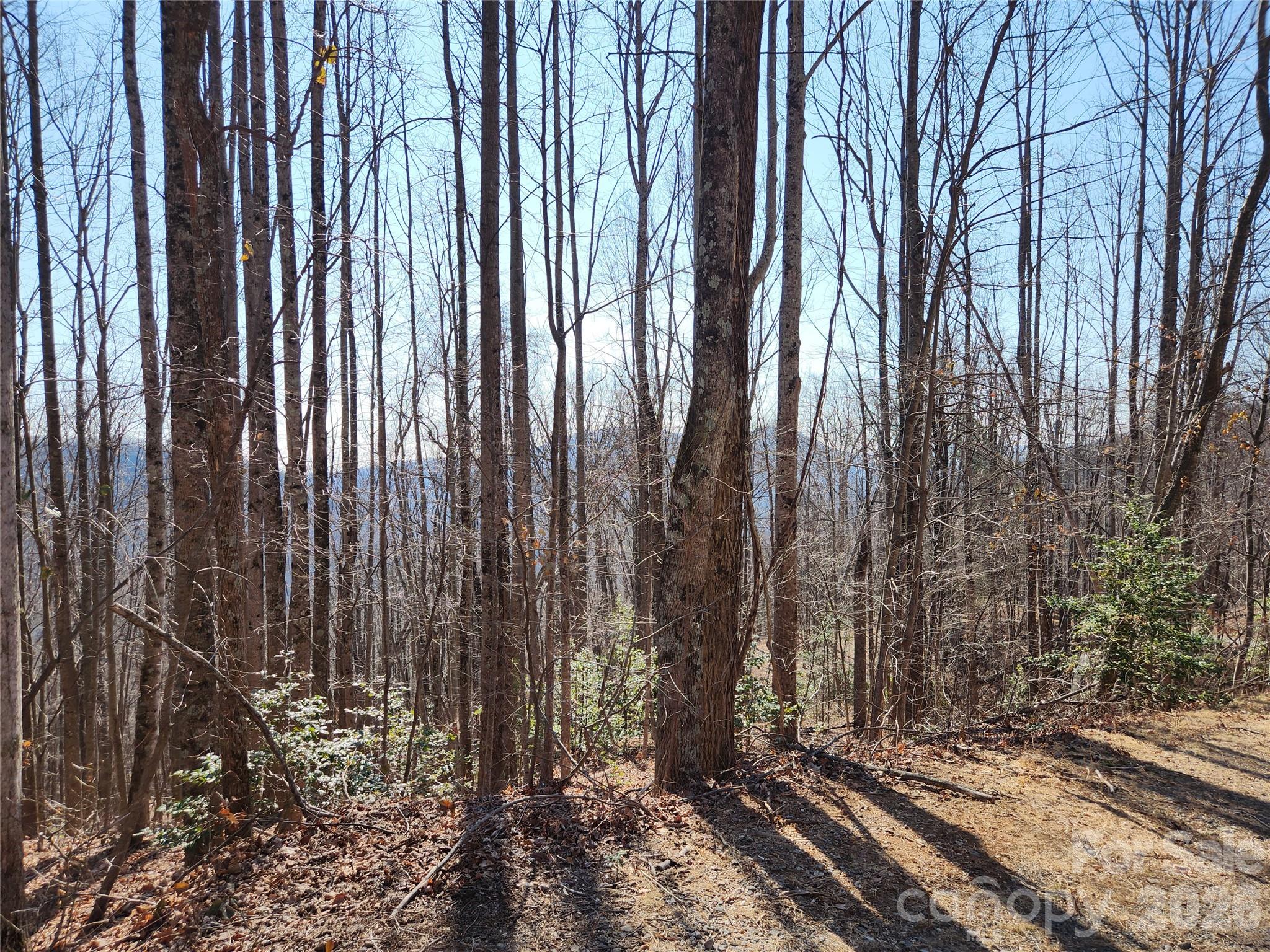 Gateway Mountain - Land