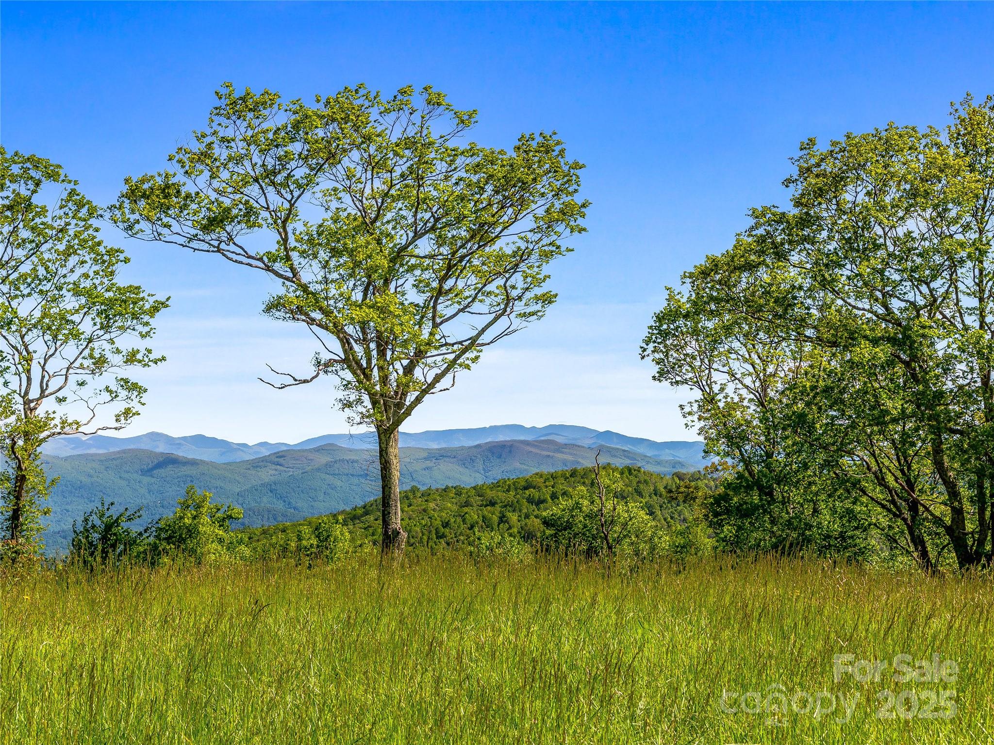 Grand Highlands at Bearwallow - Land