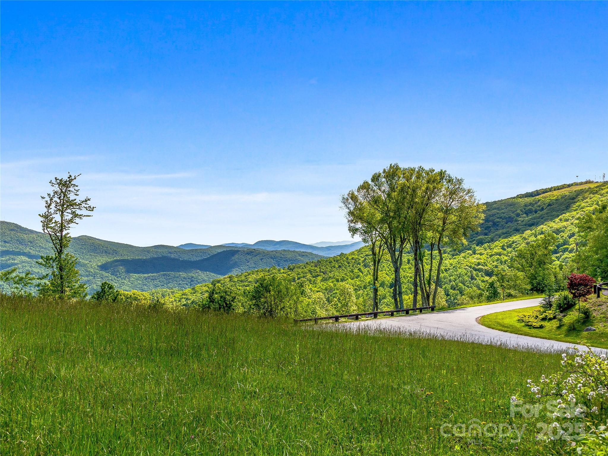 Grand Highlands at Bearwallow - Land