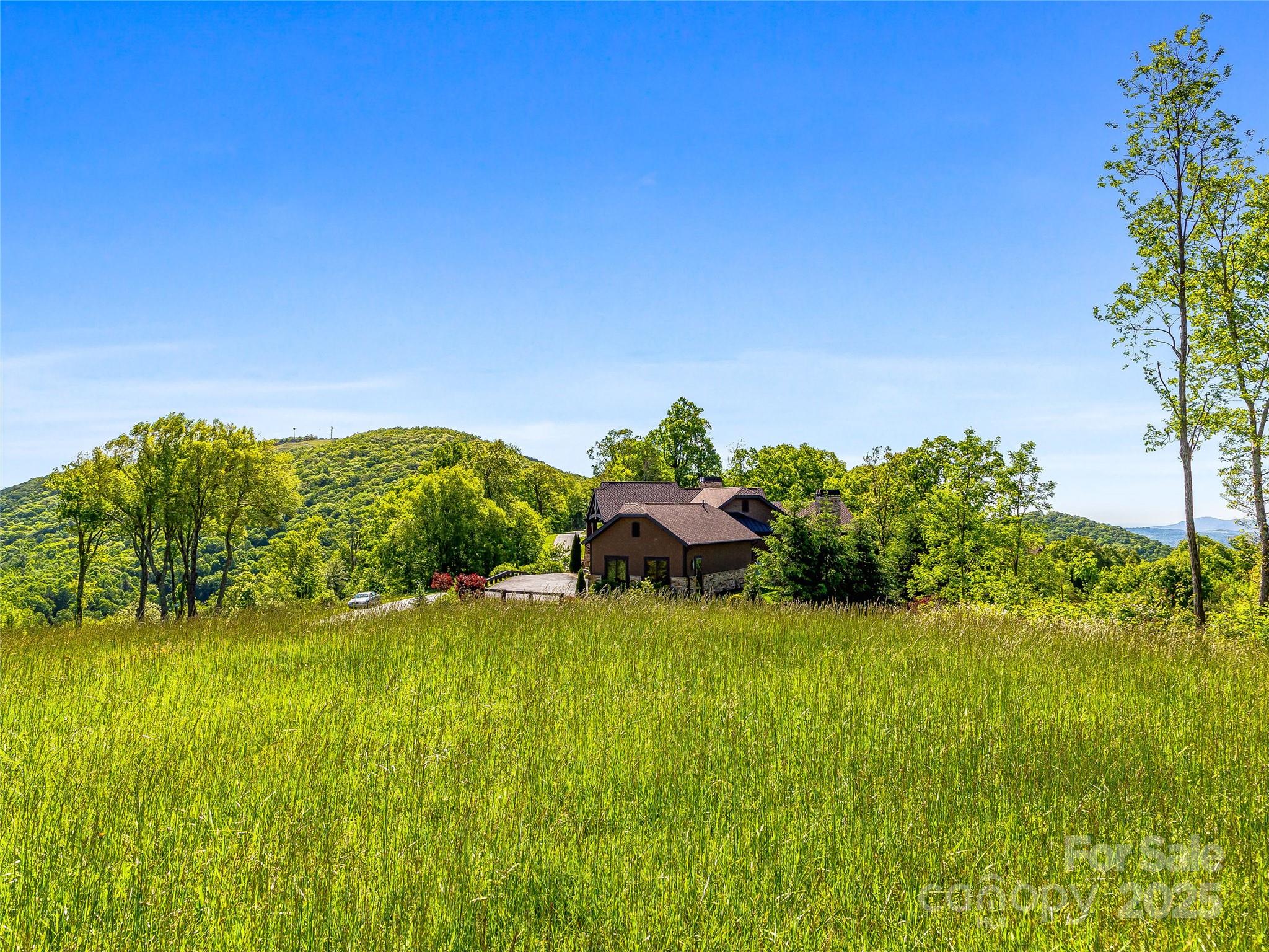 Grand Highlands at Bearwallow - Land