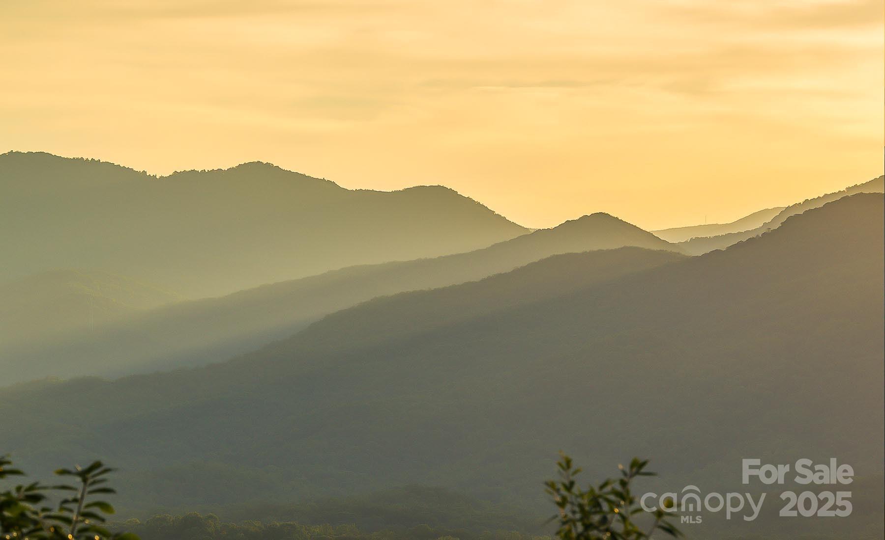 New Forest Mountain - Land