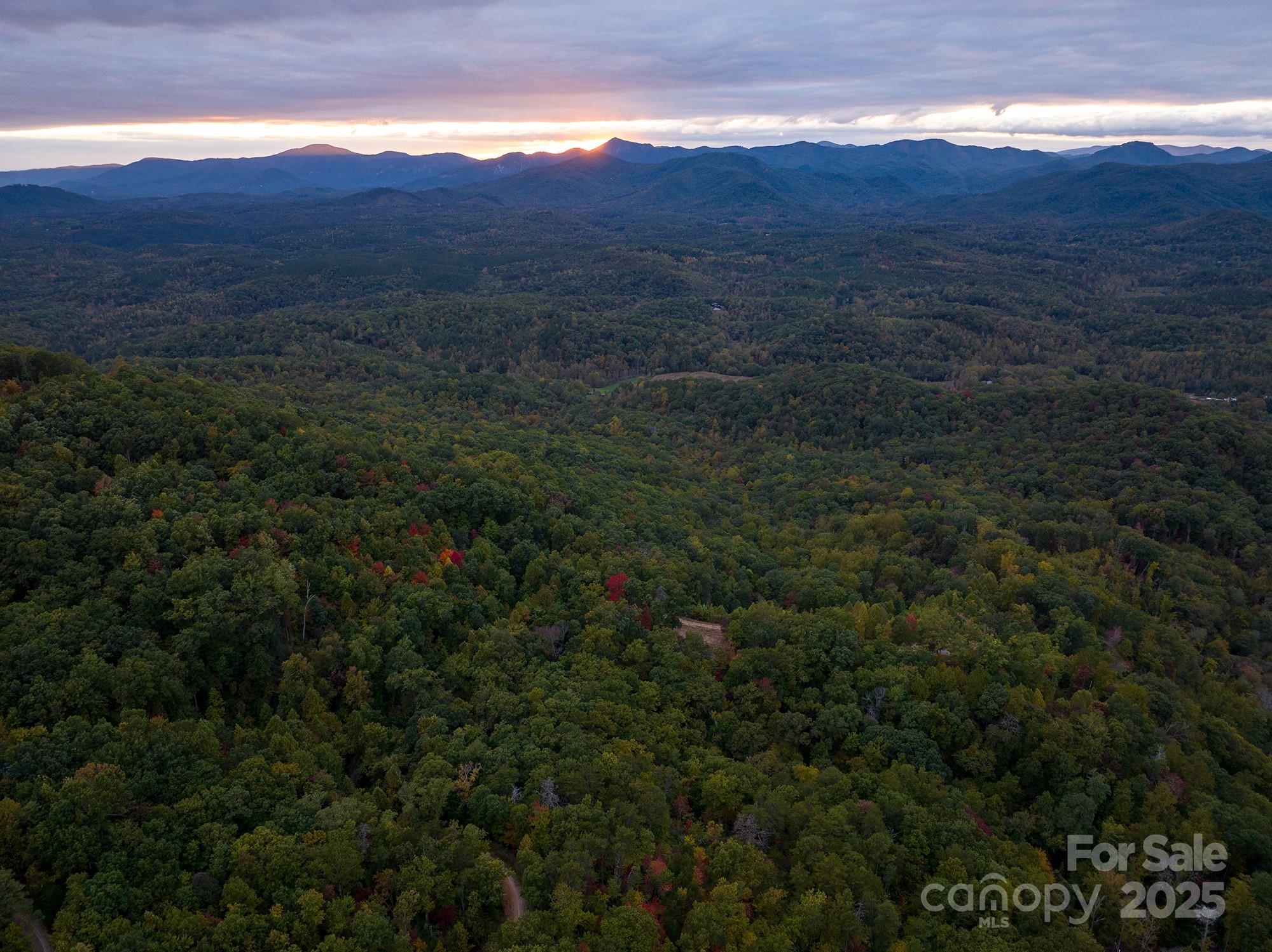 New Forest Mountain - Land