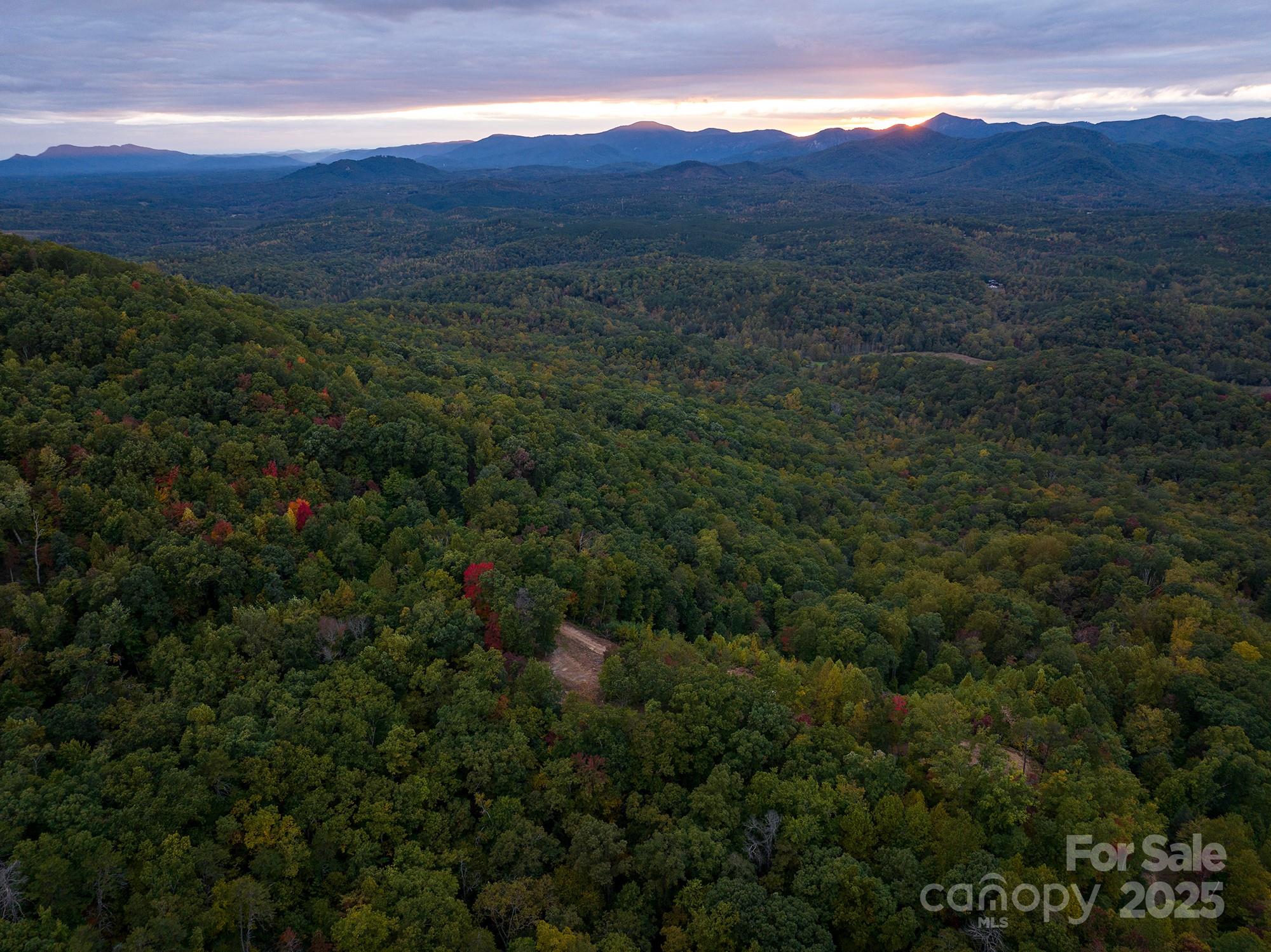 New Forest Mountain - Land