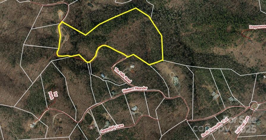 New Forest Mountain - Land