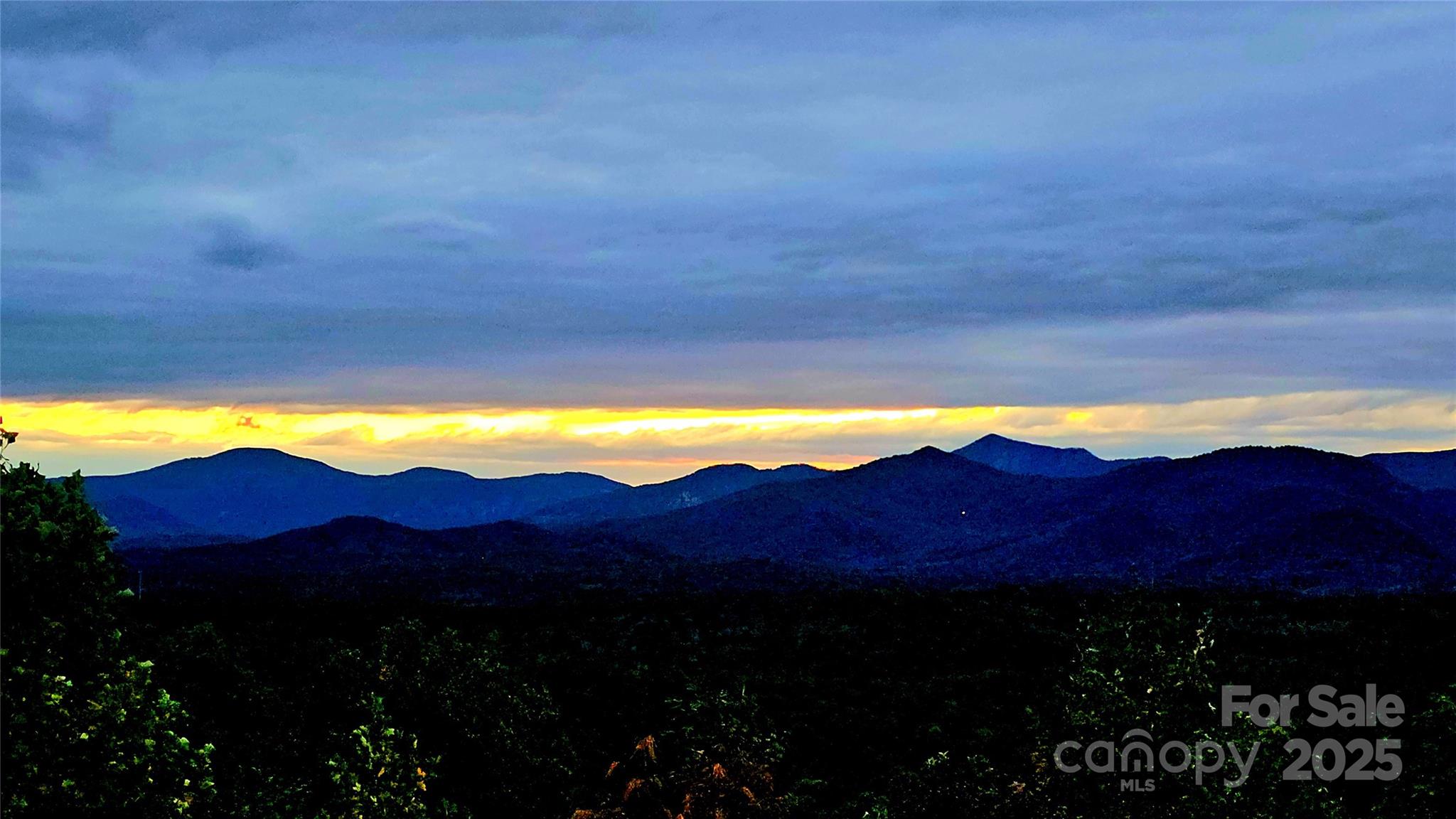 New Forest Mountain - Land