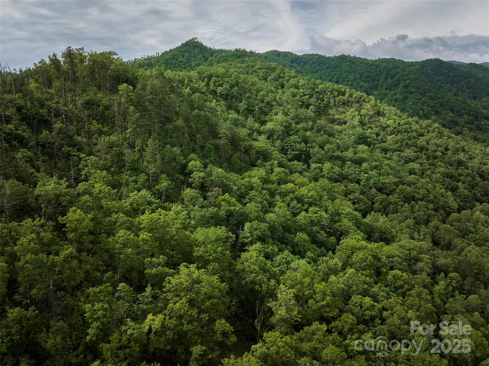 Rock Bottom Ranch - Land