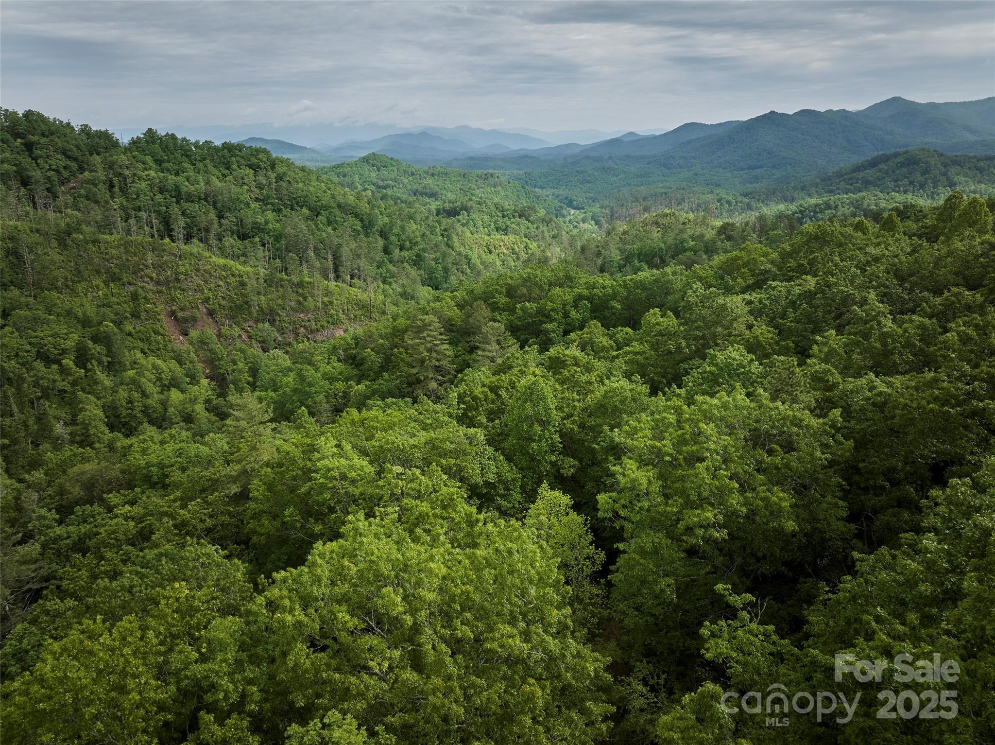 Rock Bottom Ranch - Land