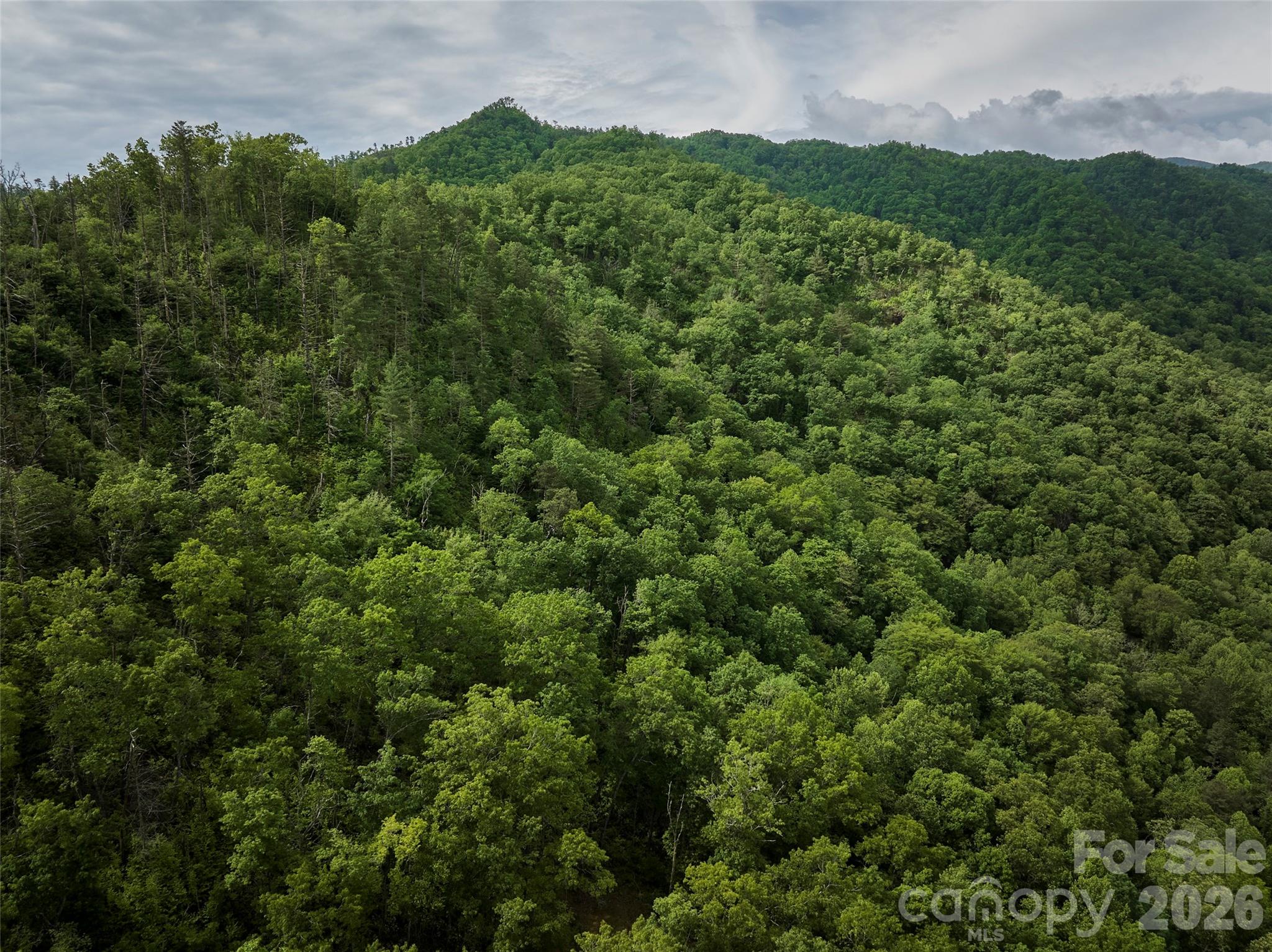 Rock Bottom Ranch - Land