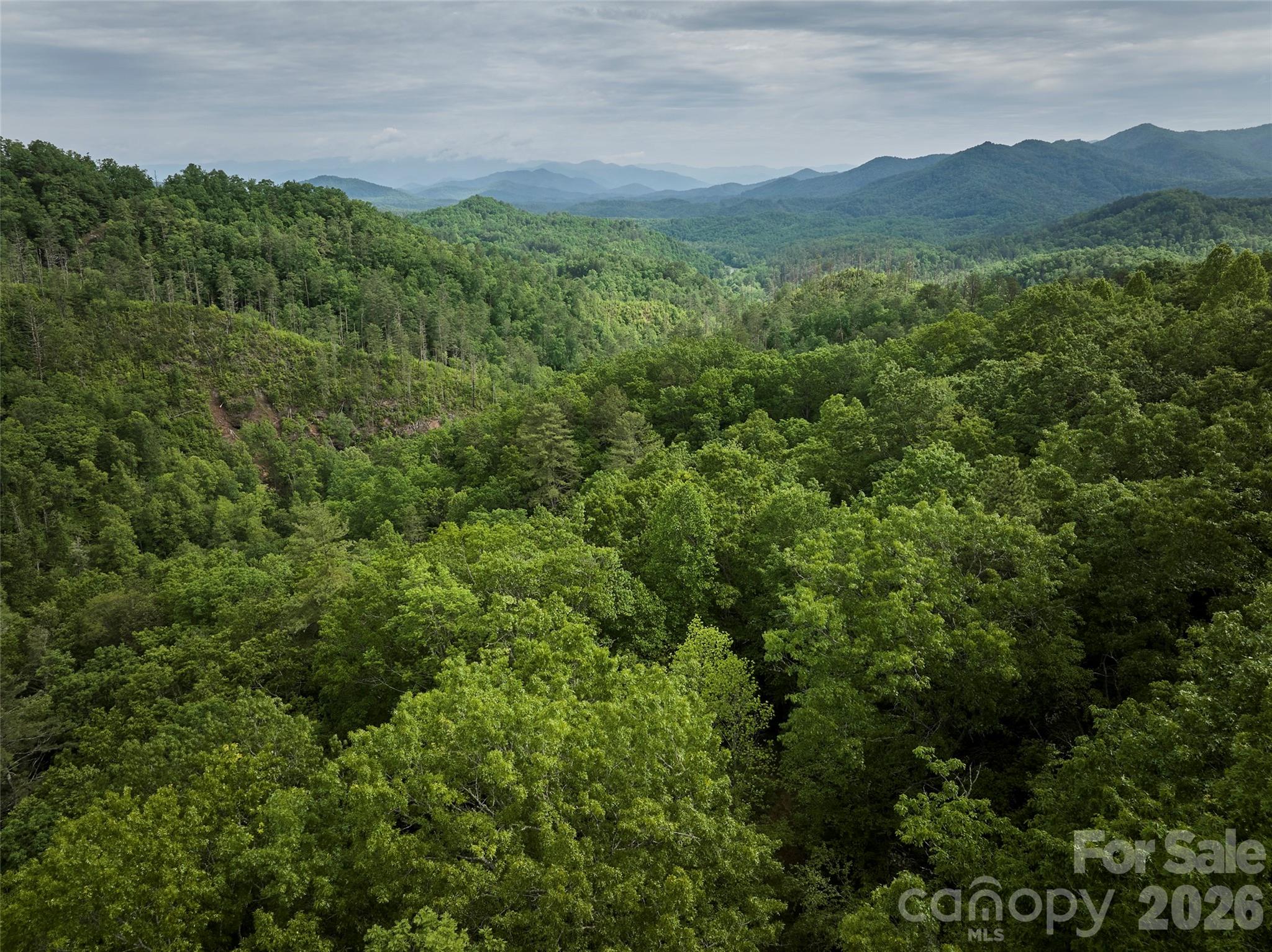Rock Bottom Ranch - Land