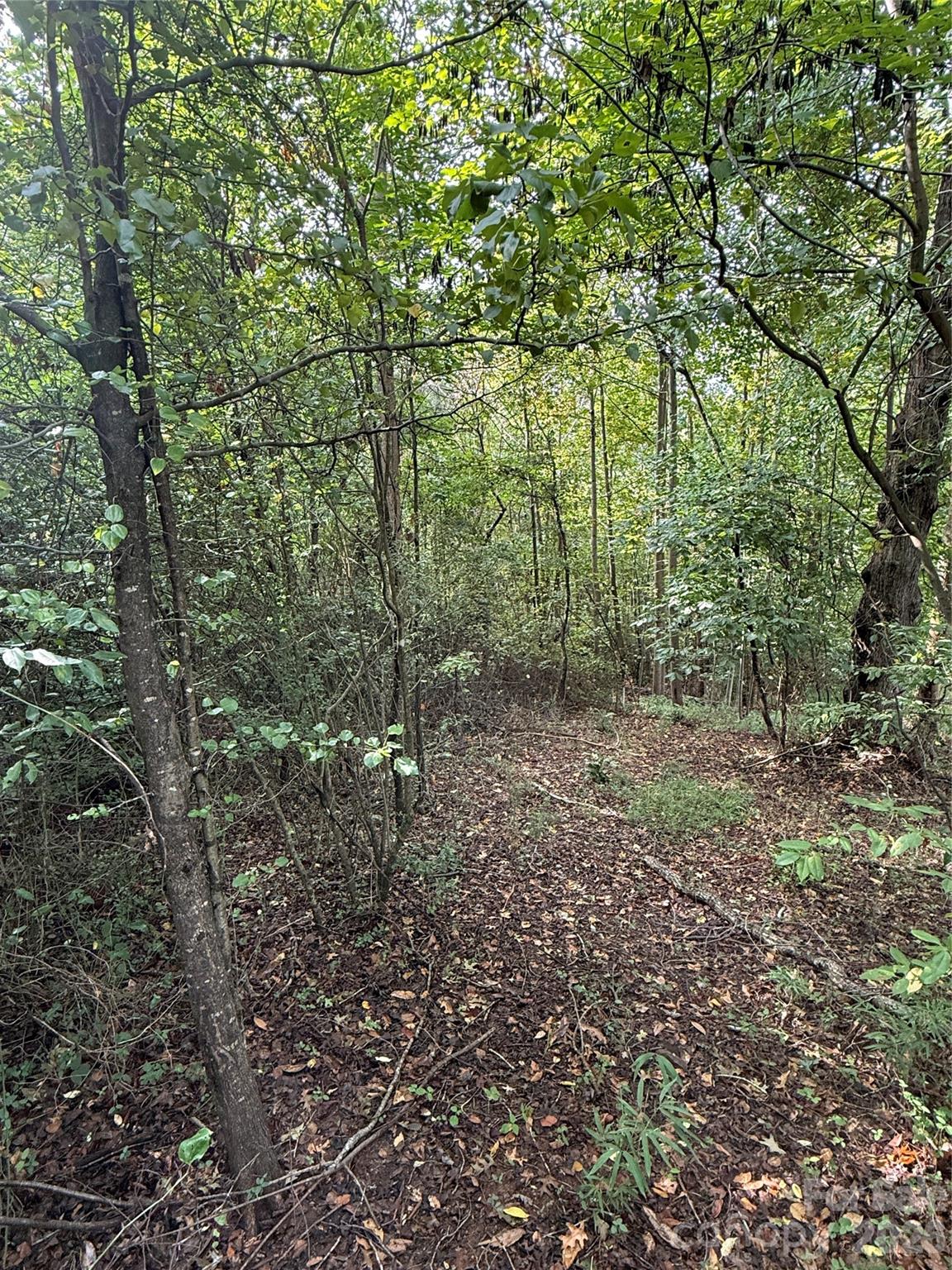 000 Mountainside Court