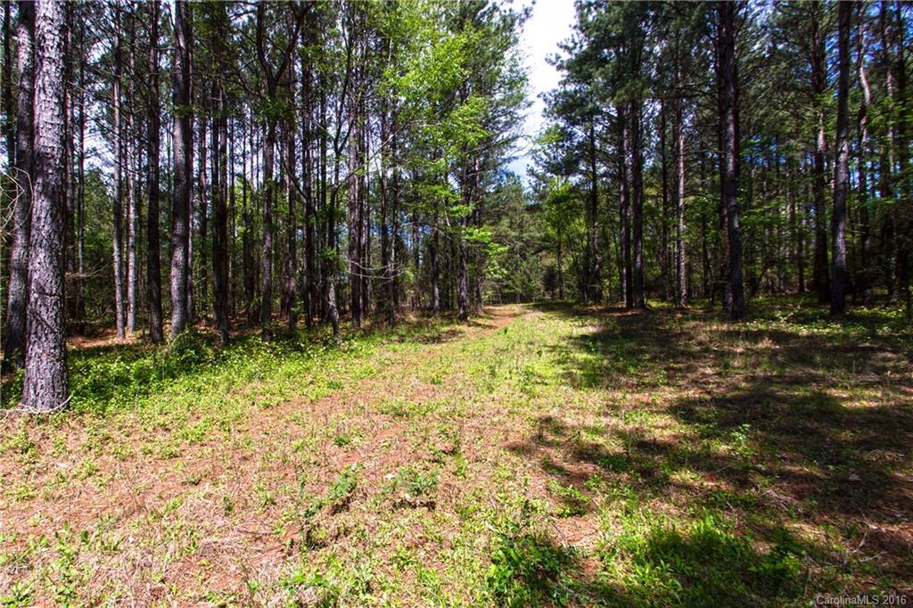 Forest Ridge - Residential