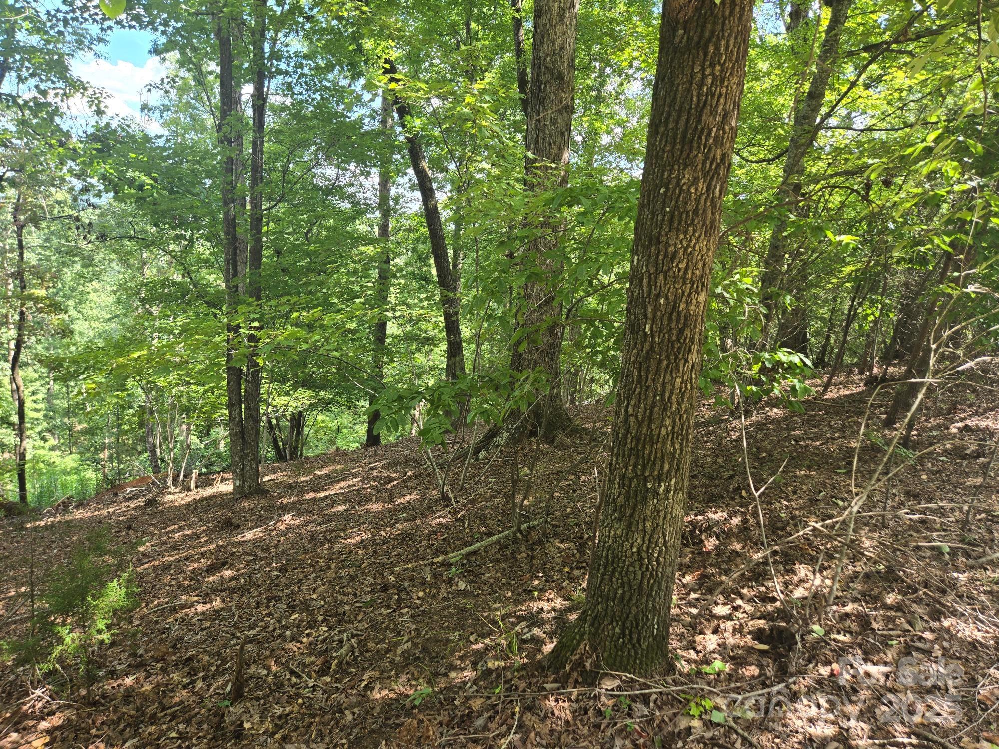Lot 34 Hawks Nest Trail