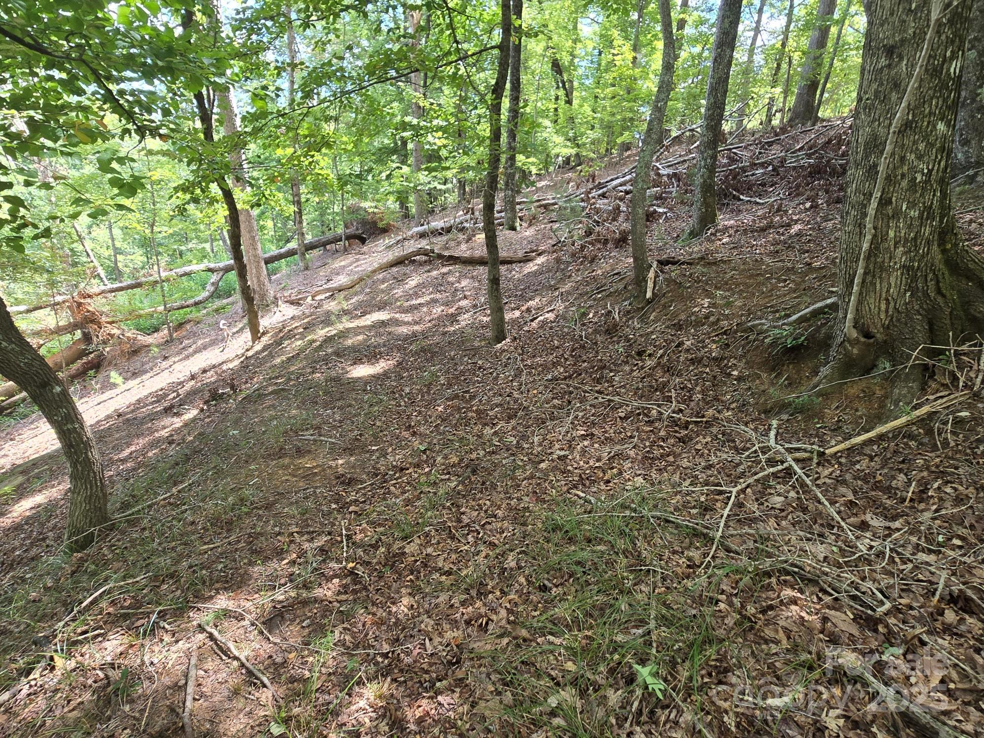 Rumbling Bald on Lake Lure - Land