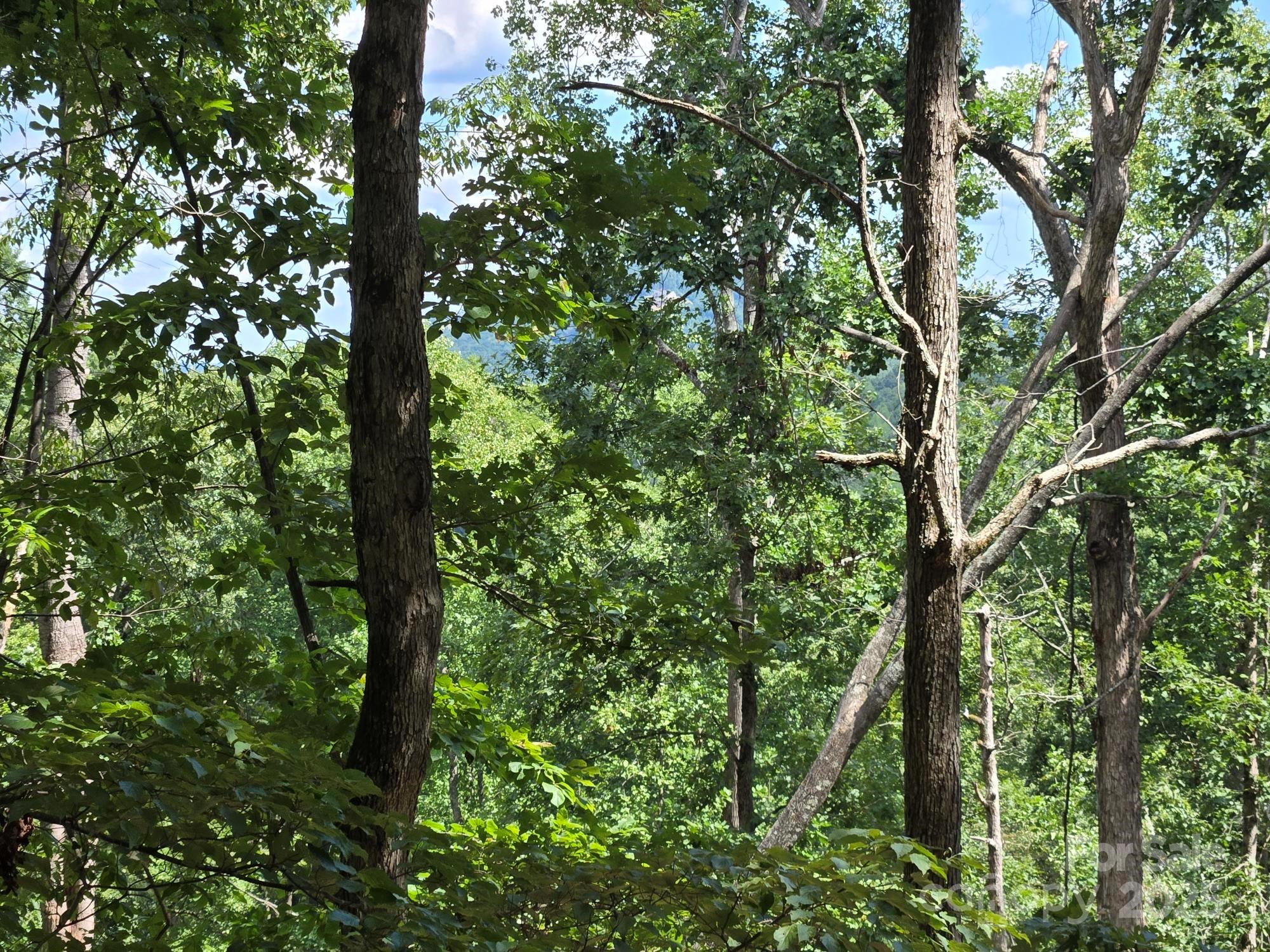 Lot 34 Hawks Nest Trail