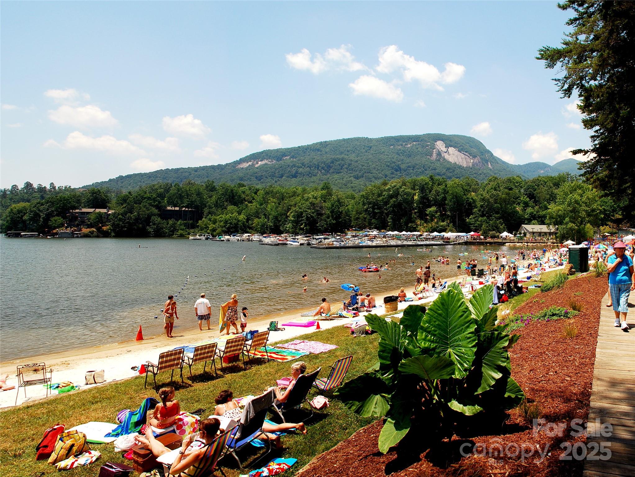 Rumbling Bald on Lake Lure - Land