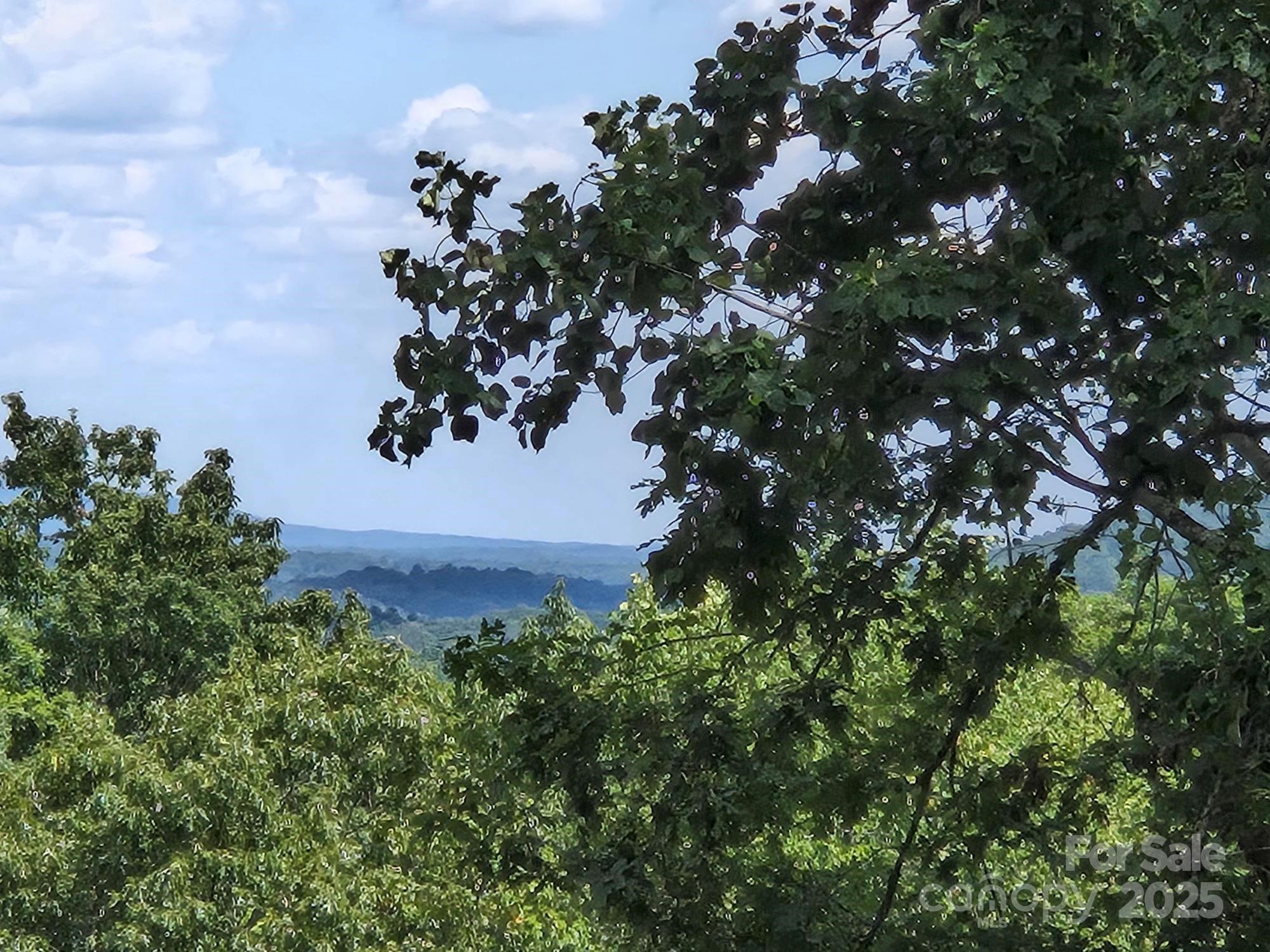 Rumbling Bald on Lake Lure - Land