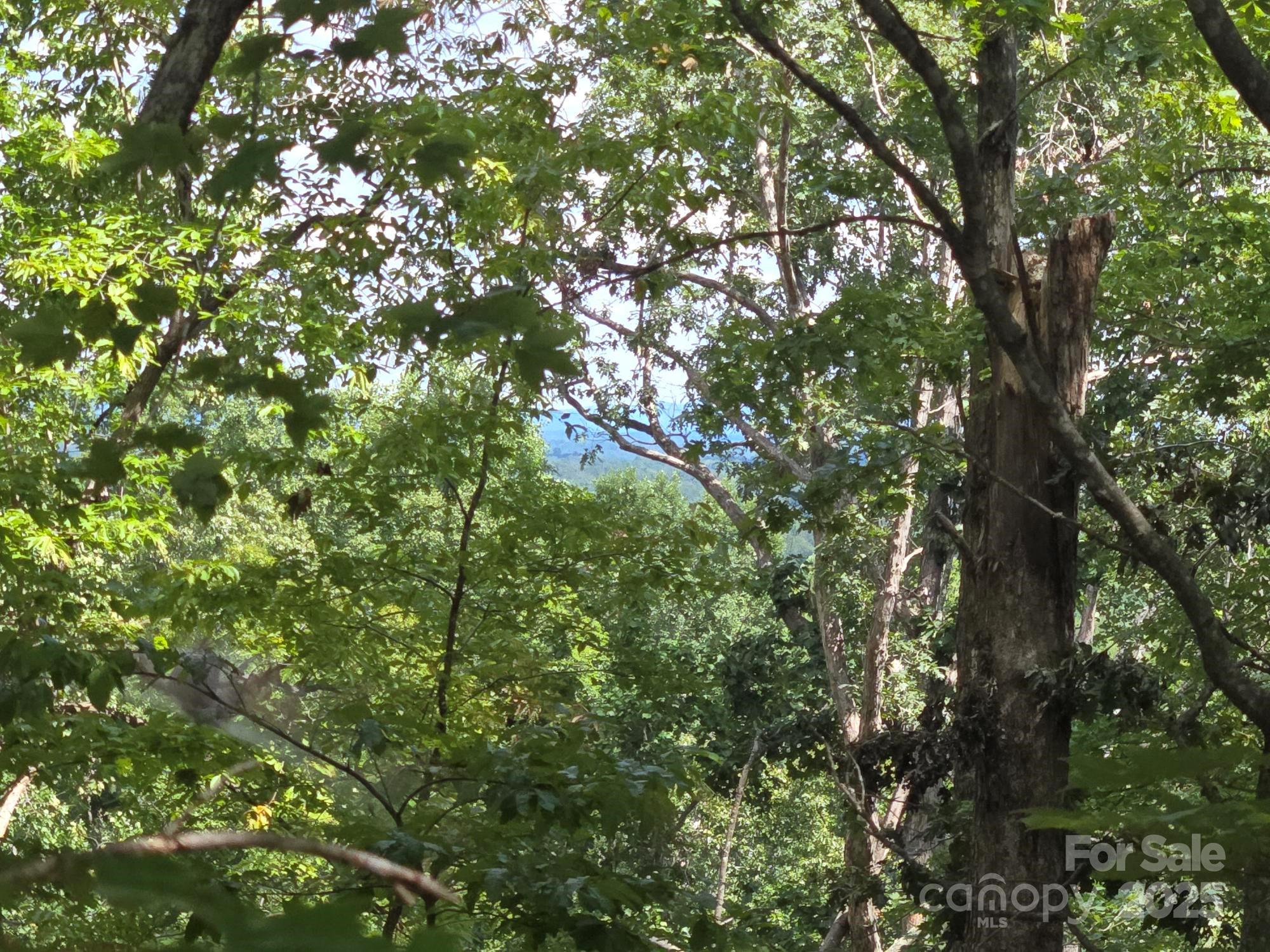 Lot 34 Hawks Nest Trail