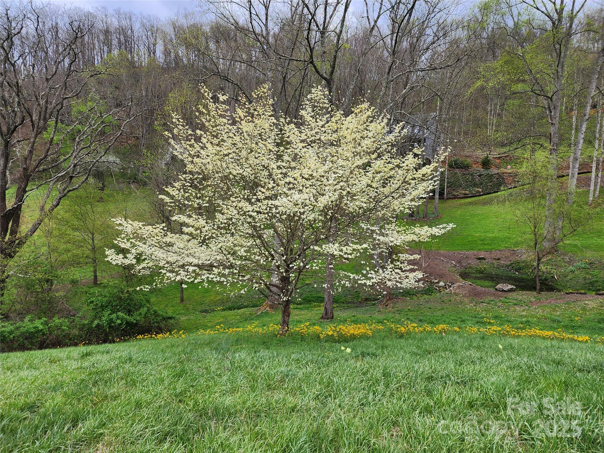 Campbell Mountain Estates - Land