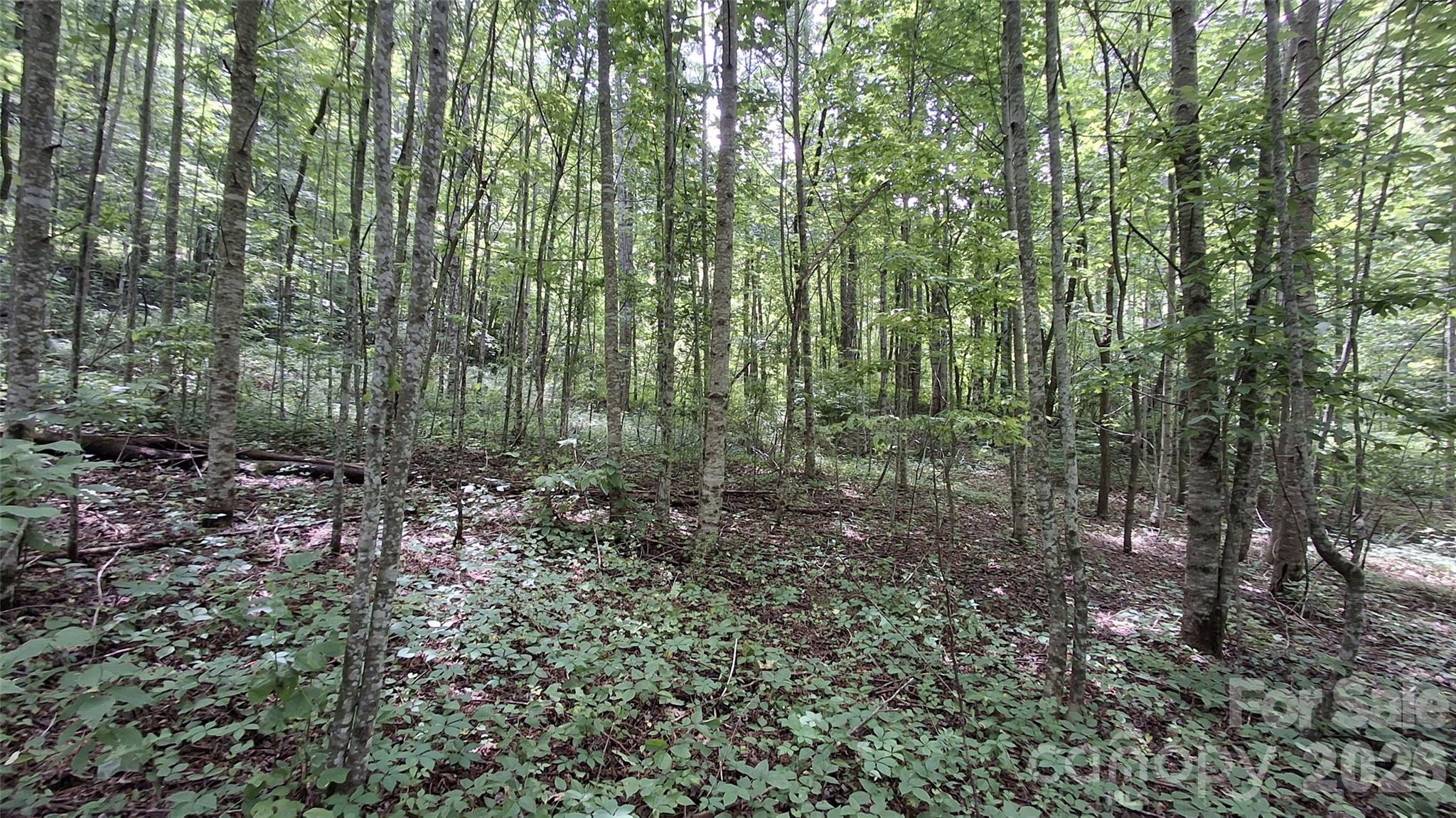 0 Dry Creek Road