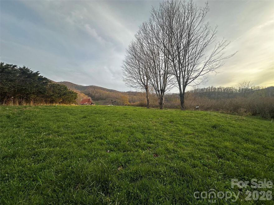 Homesite with incredible views under the roan! Ready to build as the former home had well and septic in place. This site offers stunning mountain views and a creek that runs at the lower end of the property. House site is ready for your home vision or camper site for your mountain getaway. SELLER IS A LICENSED REAL ESTATE AGENT.