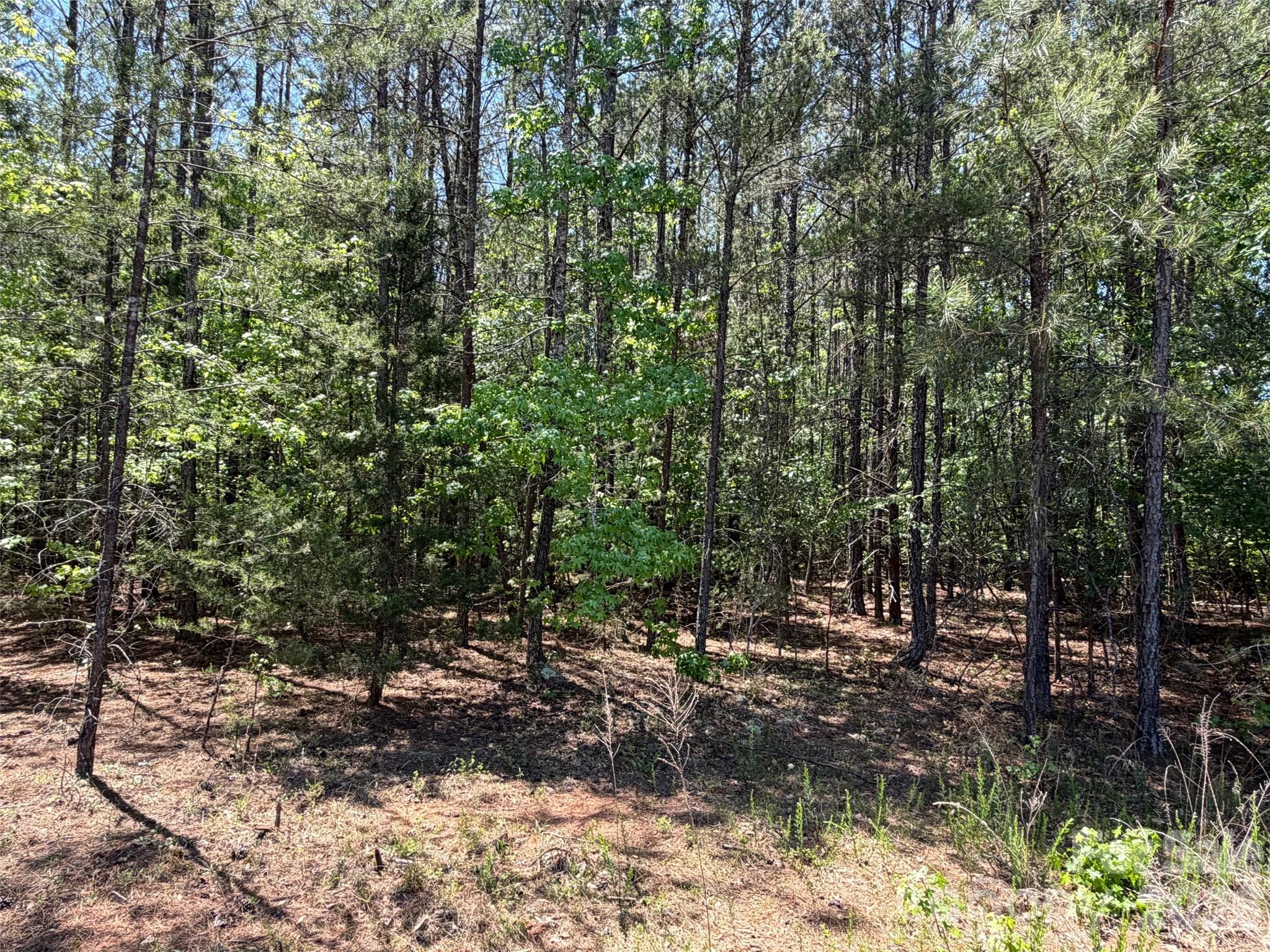 5 AC Terry Drive Highway